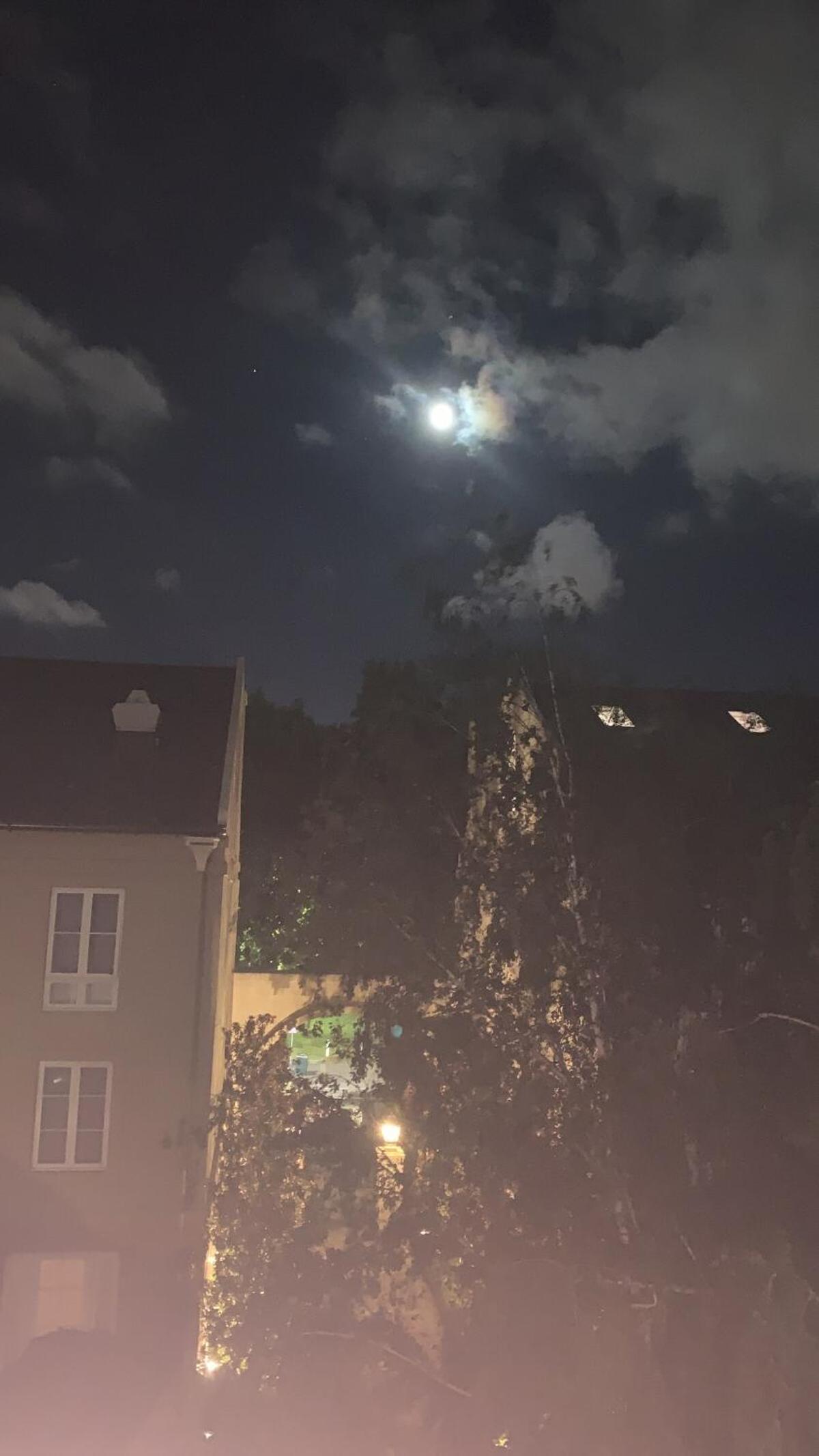 Paris in East Melbourne