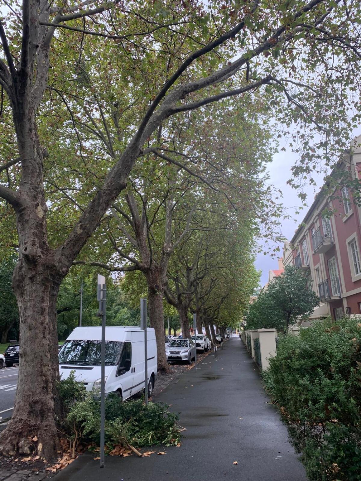 Paris in East Melbourne