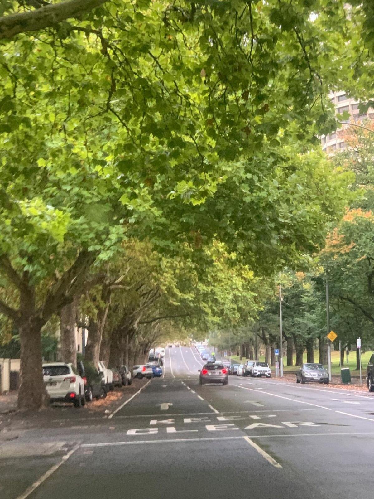 Paris in East Melbourne