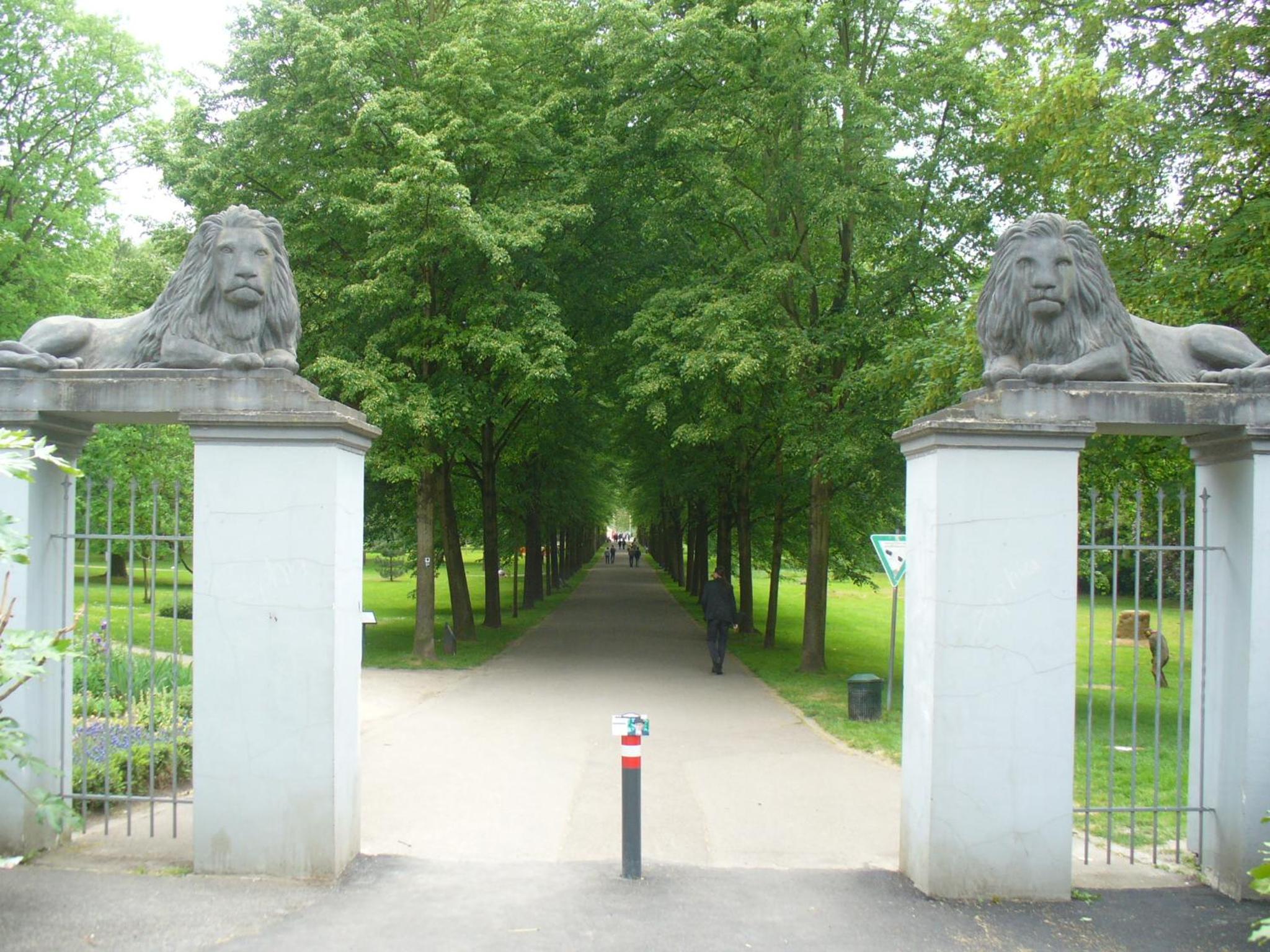 Ferienwohnung Rheinaue