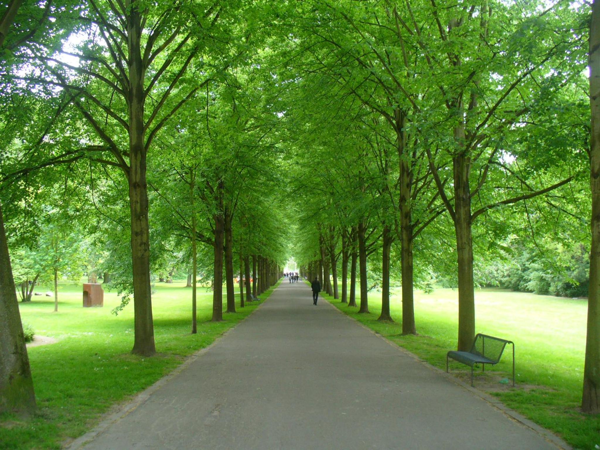 Ferienwohnung Rheinaue