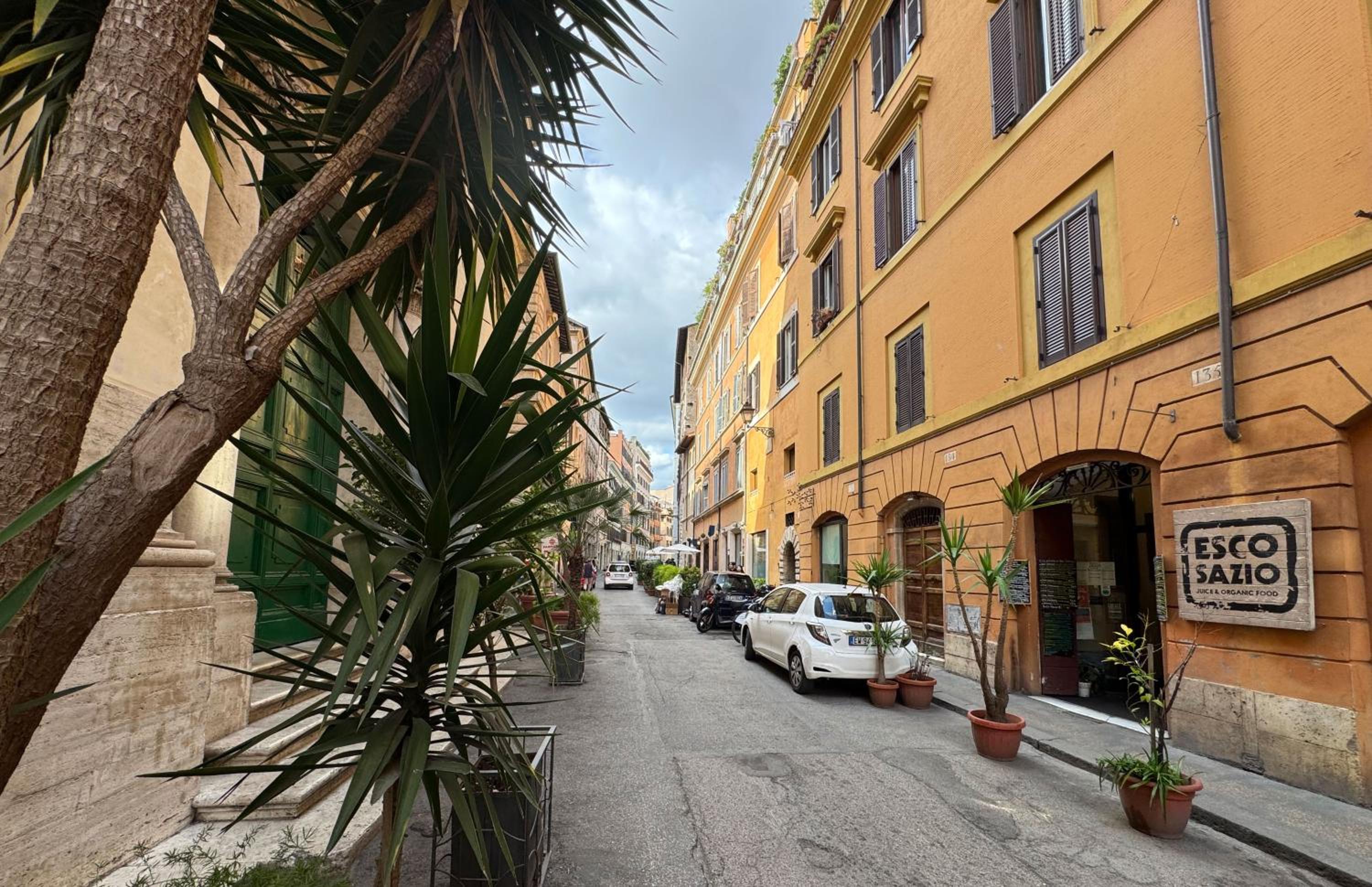 Casa Mirella near Piazza Navona, Rooftop Views