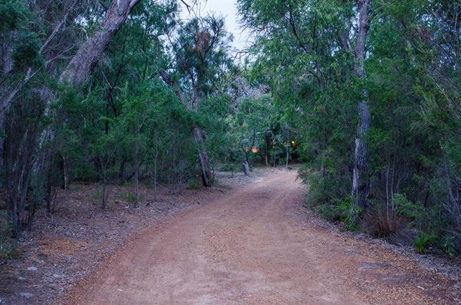 Yallingup Pet Friendly Bush Retreat