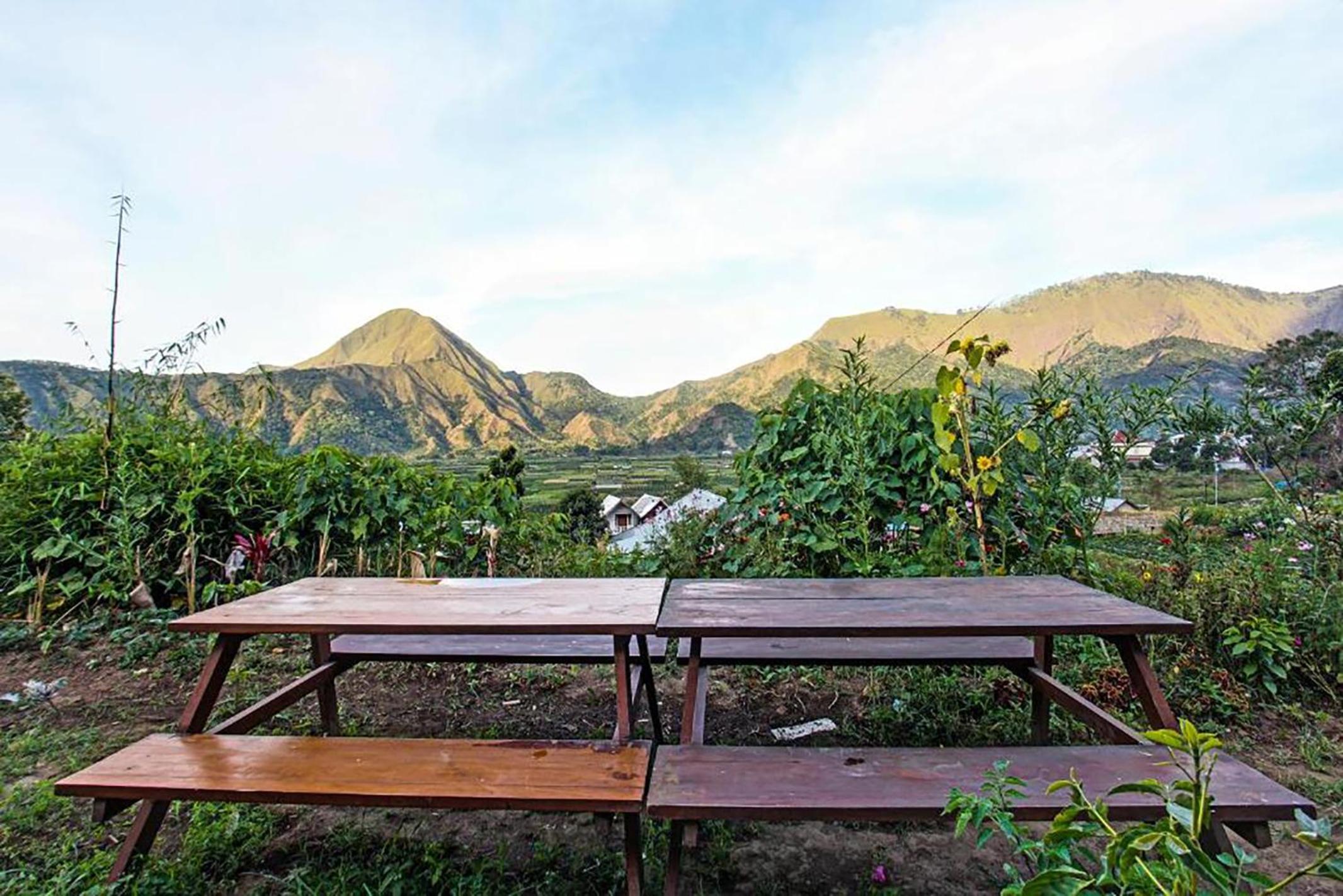 Loox Villa Strawberry Sembalun