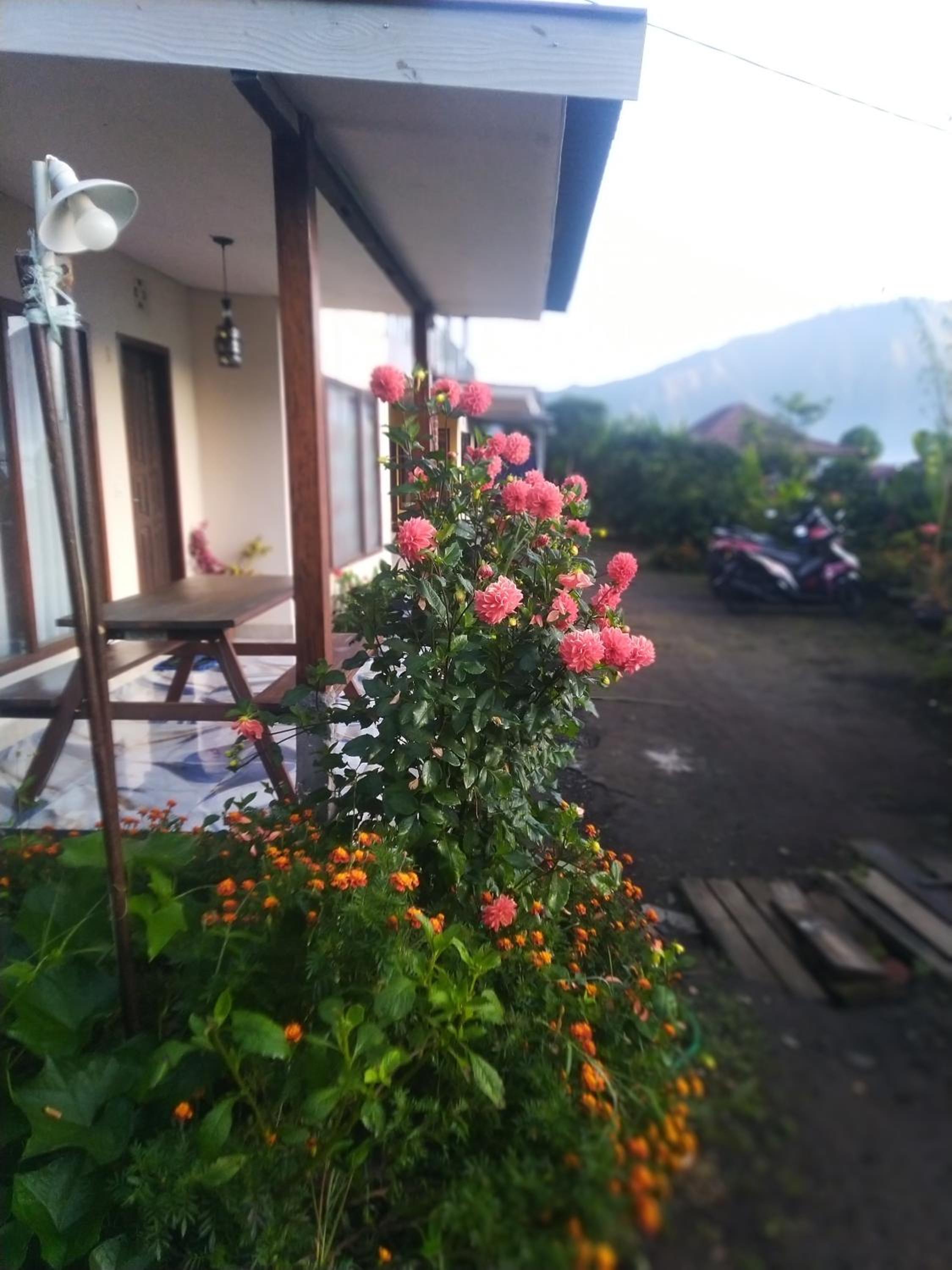 Loox Villa Strawberry Sembalun