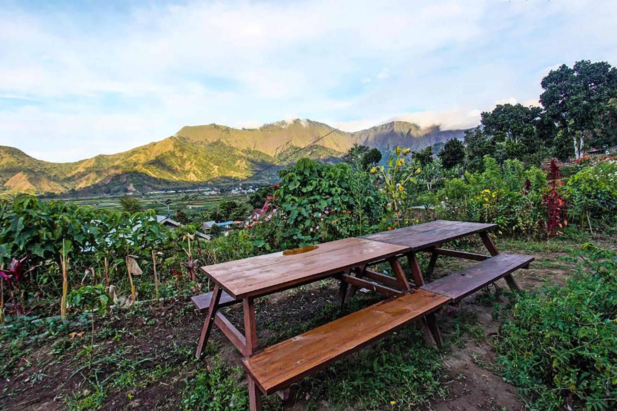Loox Villa Strawberry Sembalun