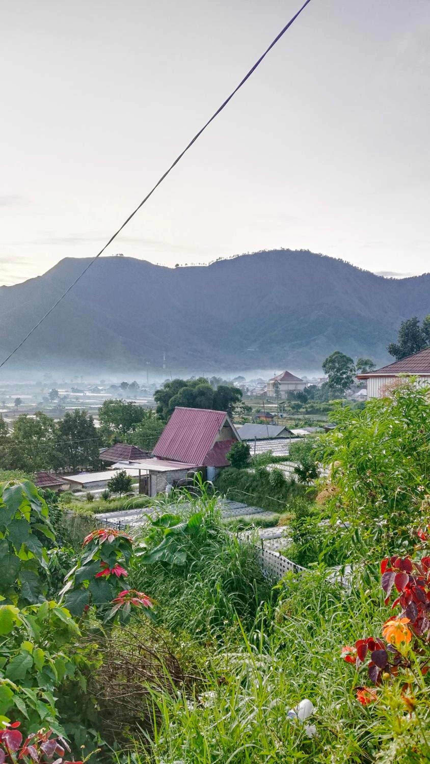 Loox Villa Strawberry Sembalun