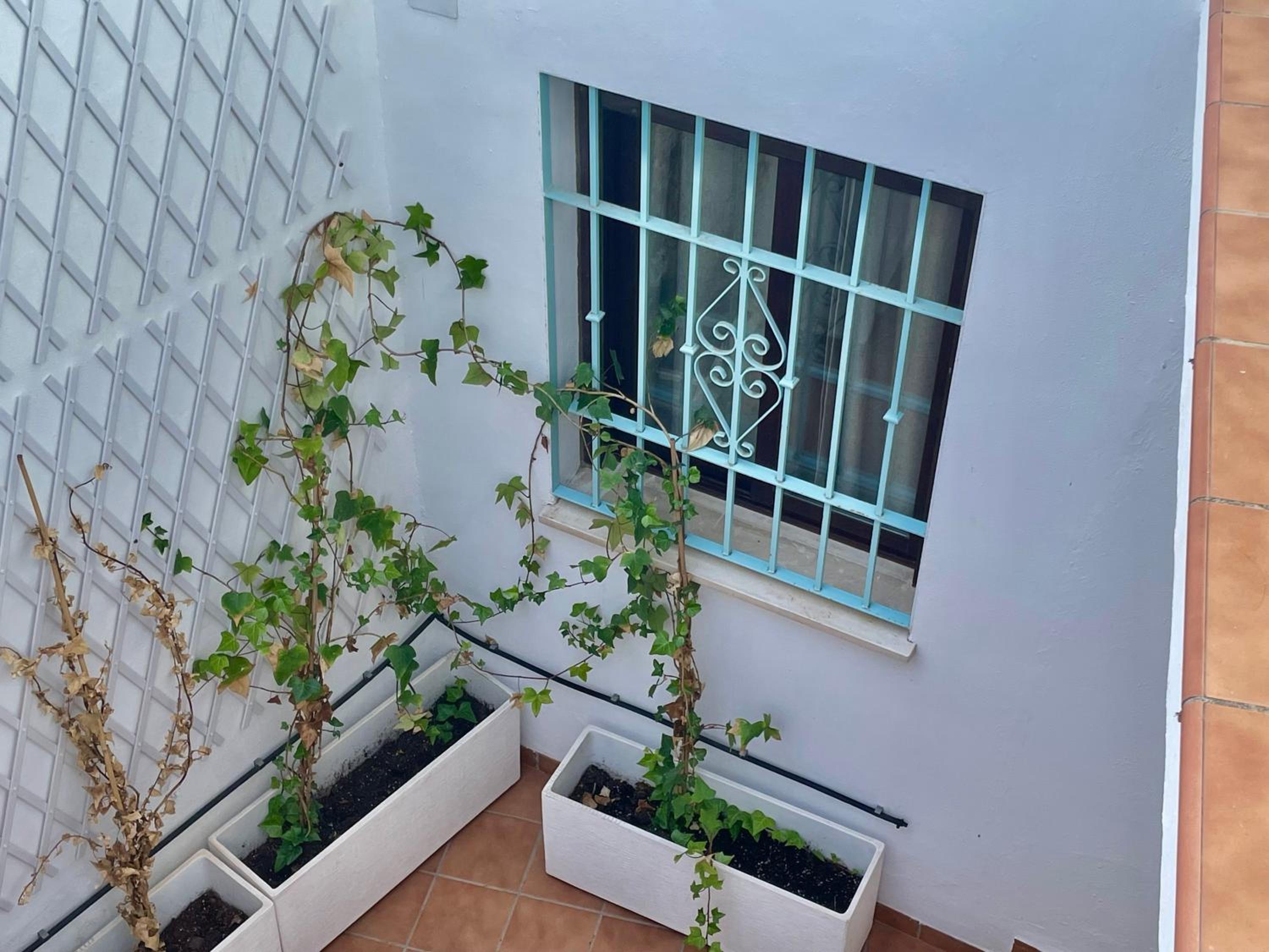 Geysotur Villa de Viana