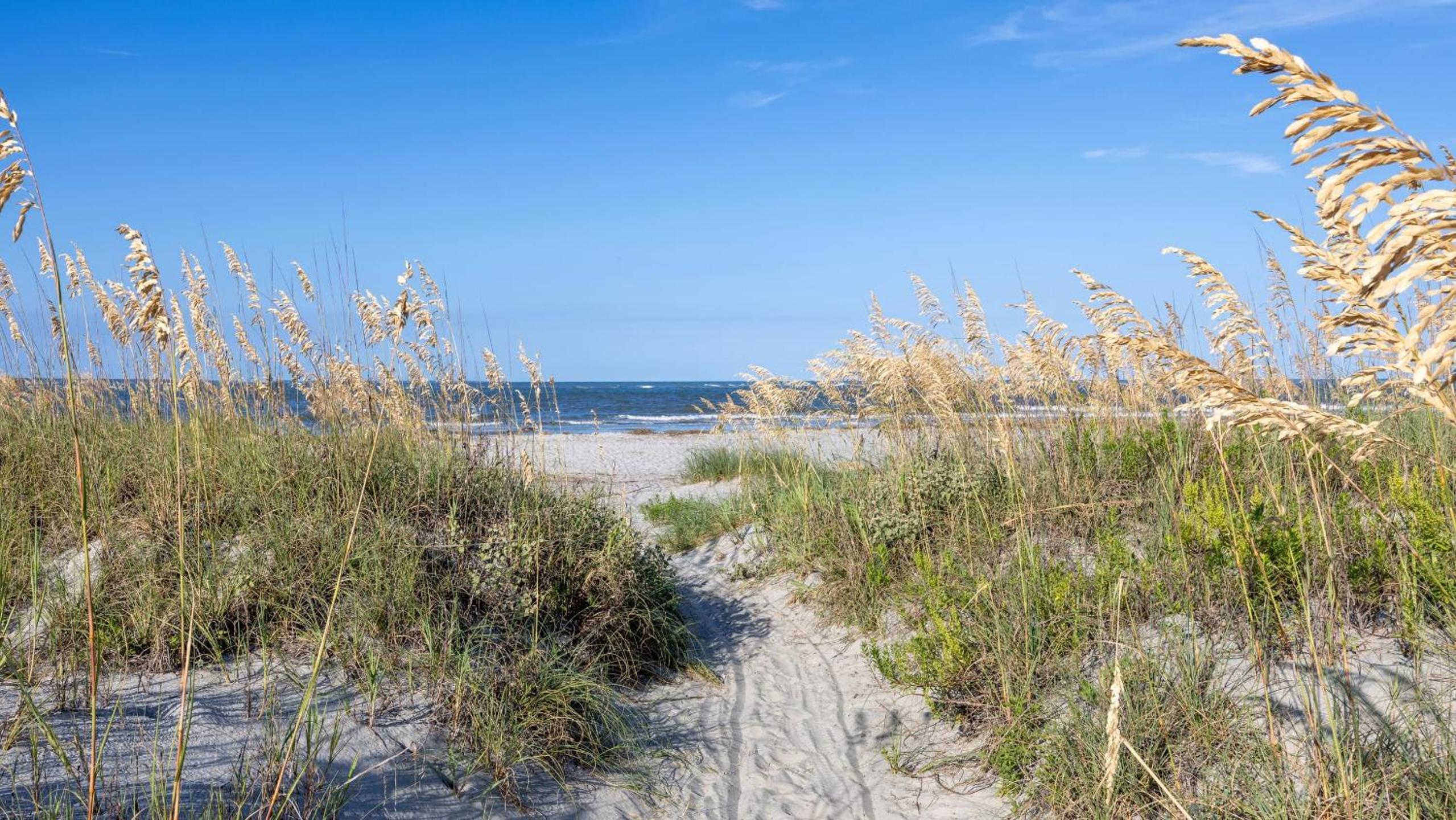 4BR Coastal Retreat w Balcony Outdoor Shower Beach Access in Isle of Palms’ Exclusive Ocean Point Community Ocean Point Haven by AvantStay