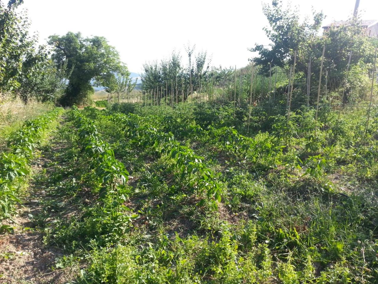 Agriturismo Eutopia