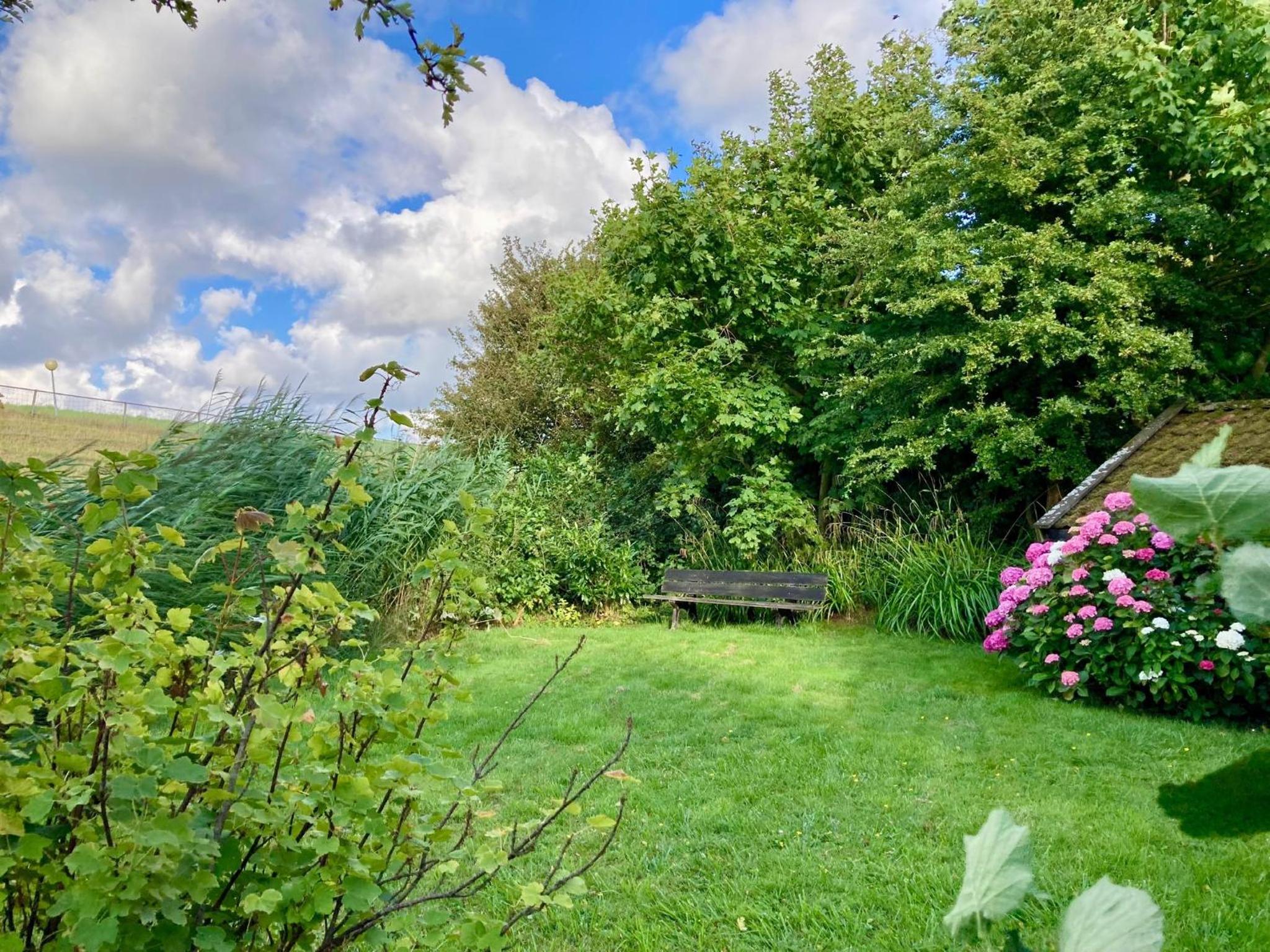 6 pers - Modern holiday home with garden, close the Lauwersmeer