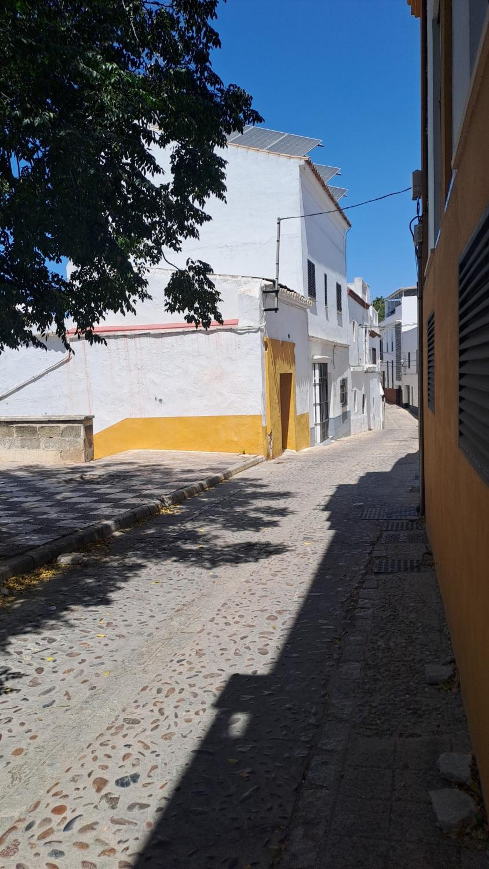 Alojamiento Rosalía