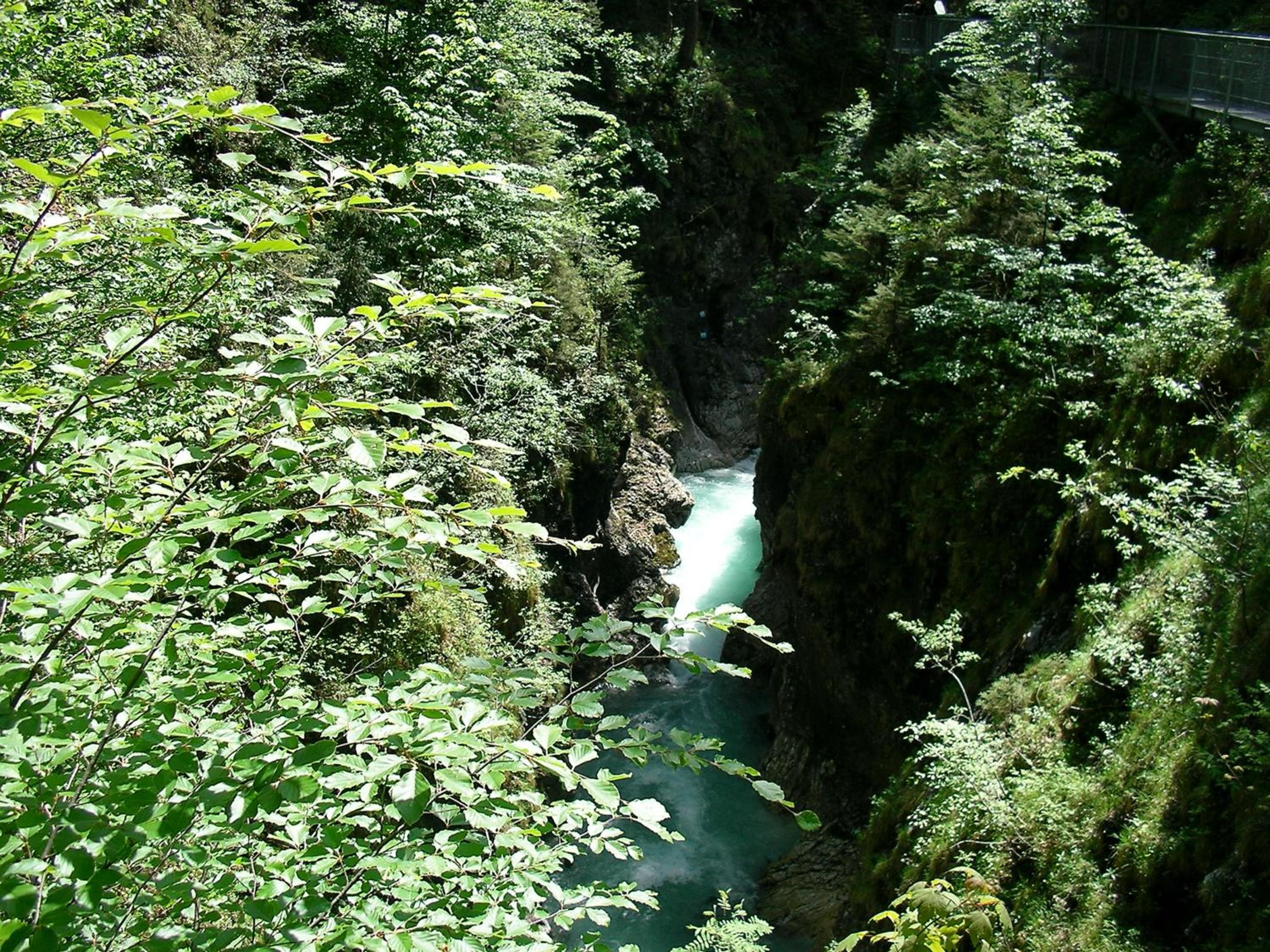 Photo 38