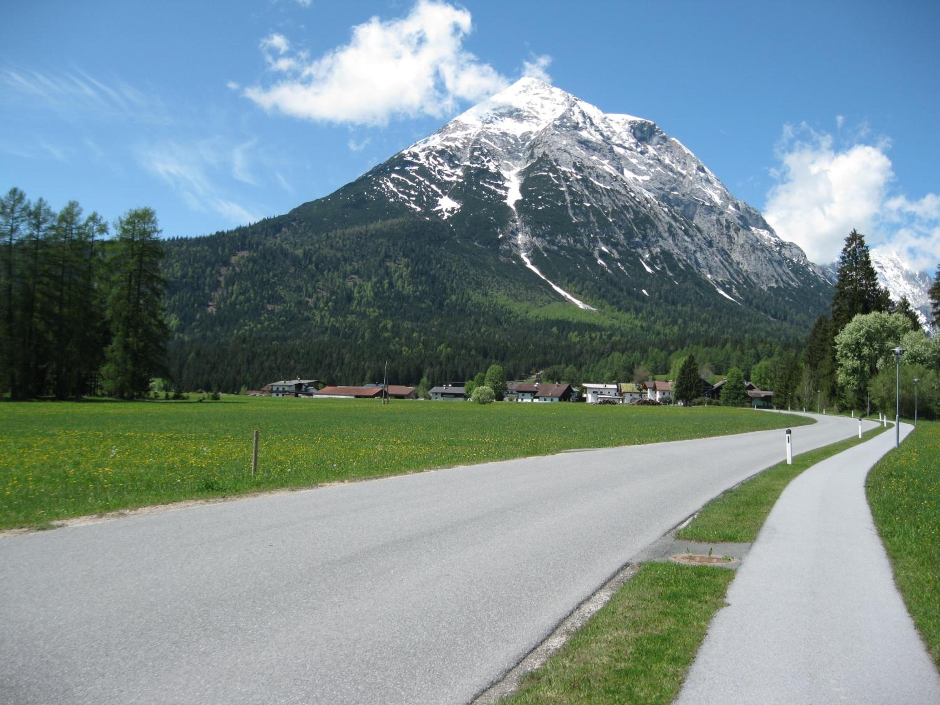 Photo 41
