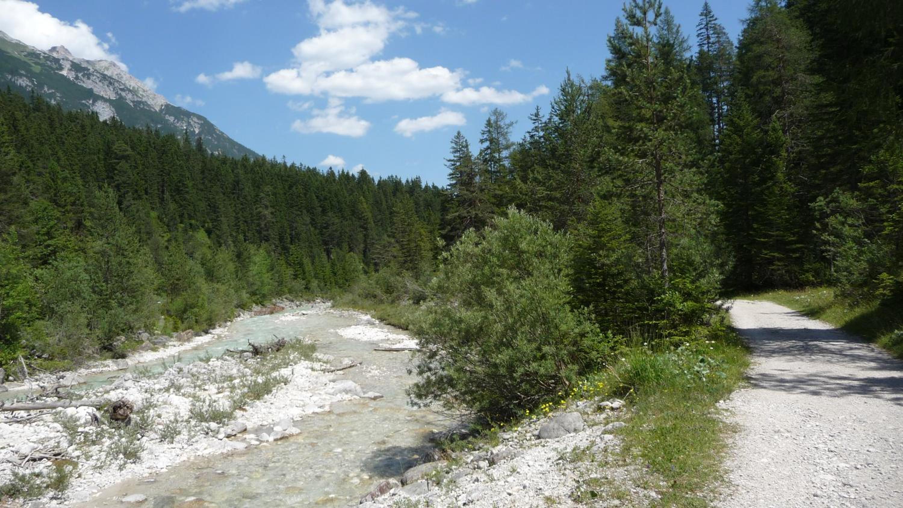 Photo 44