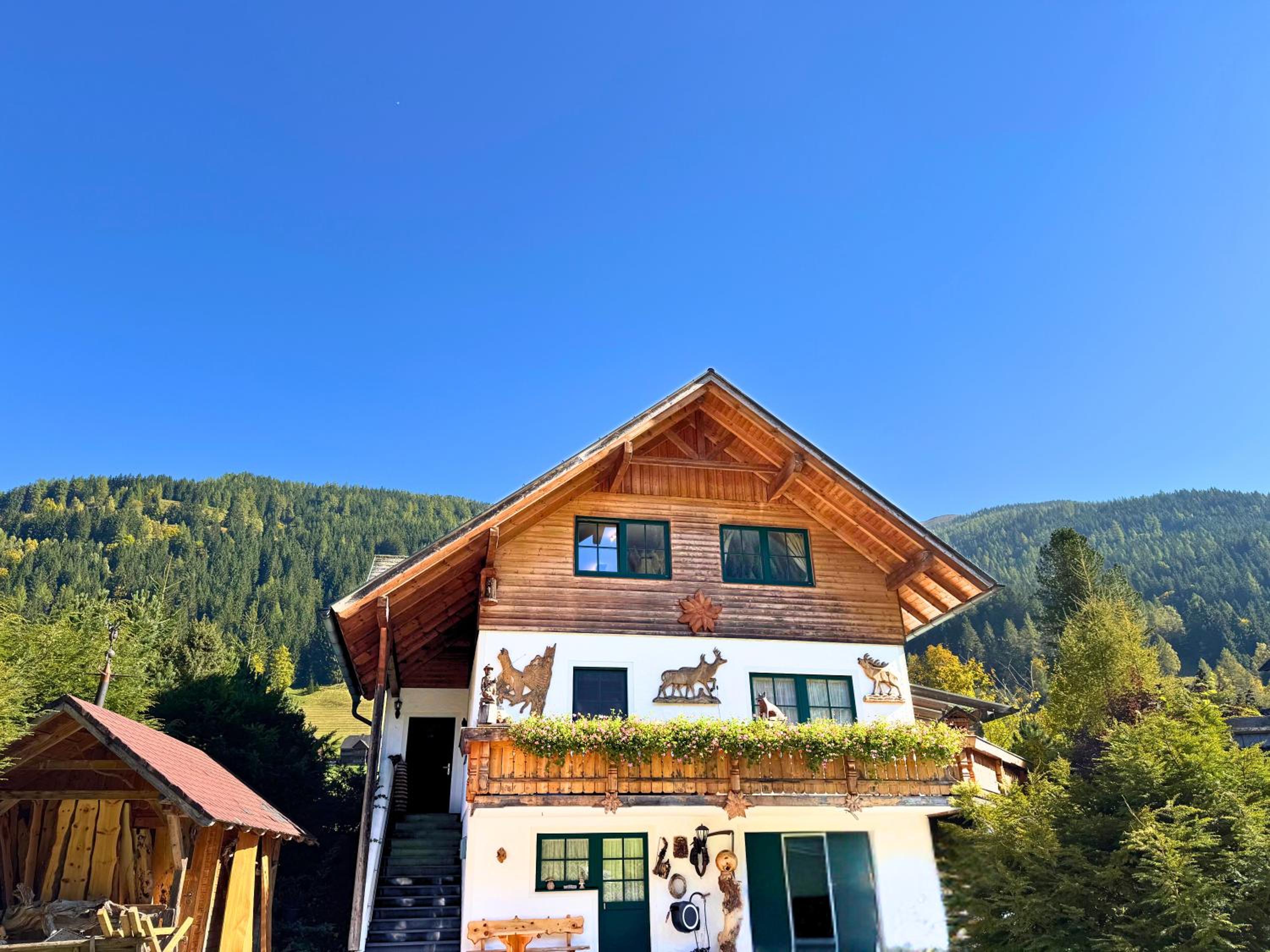 Apartment BergWiese 225