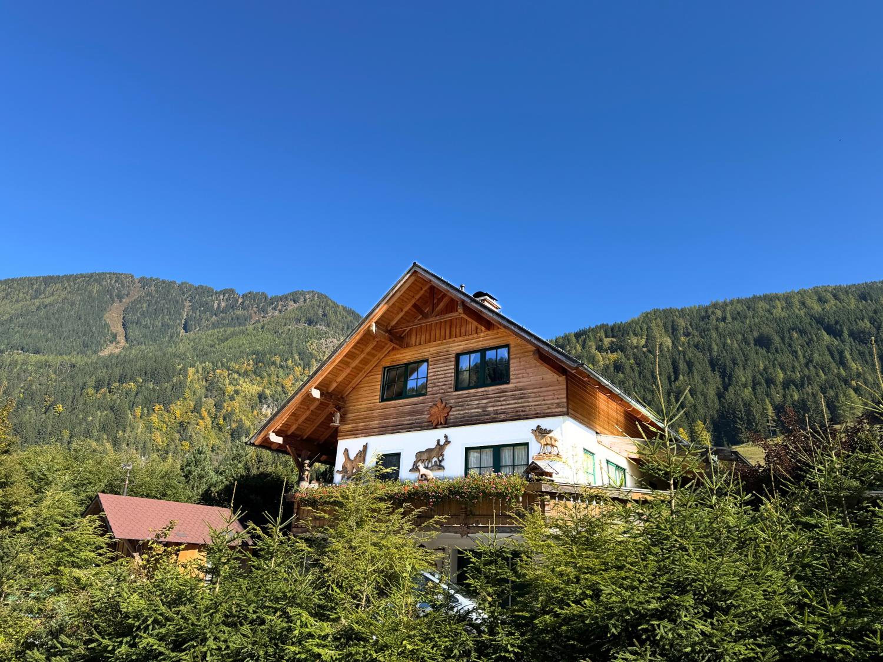 Apartment BergWiese 225