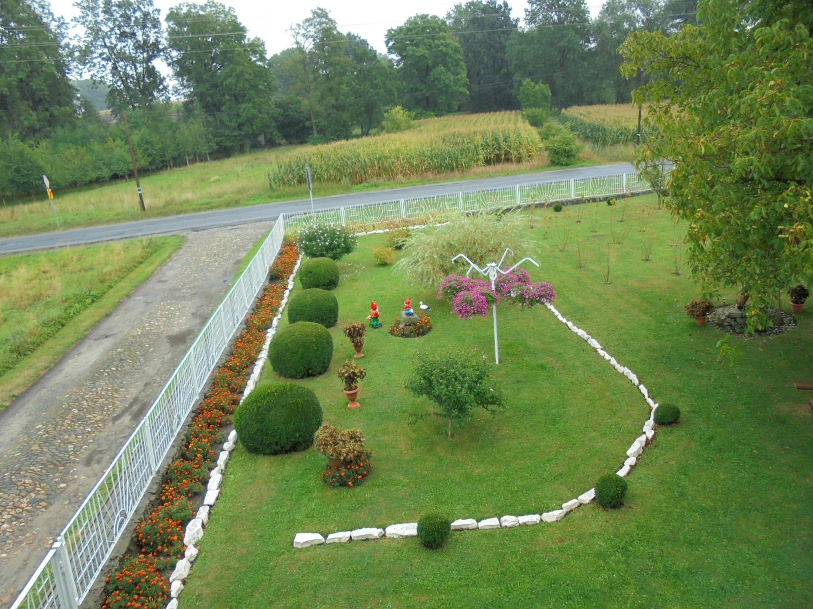 Photo 11