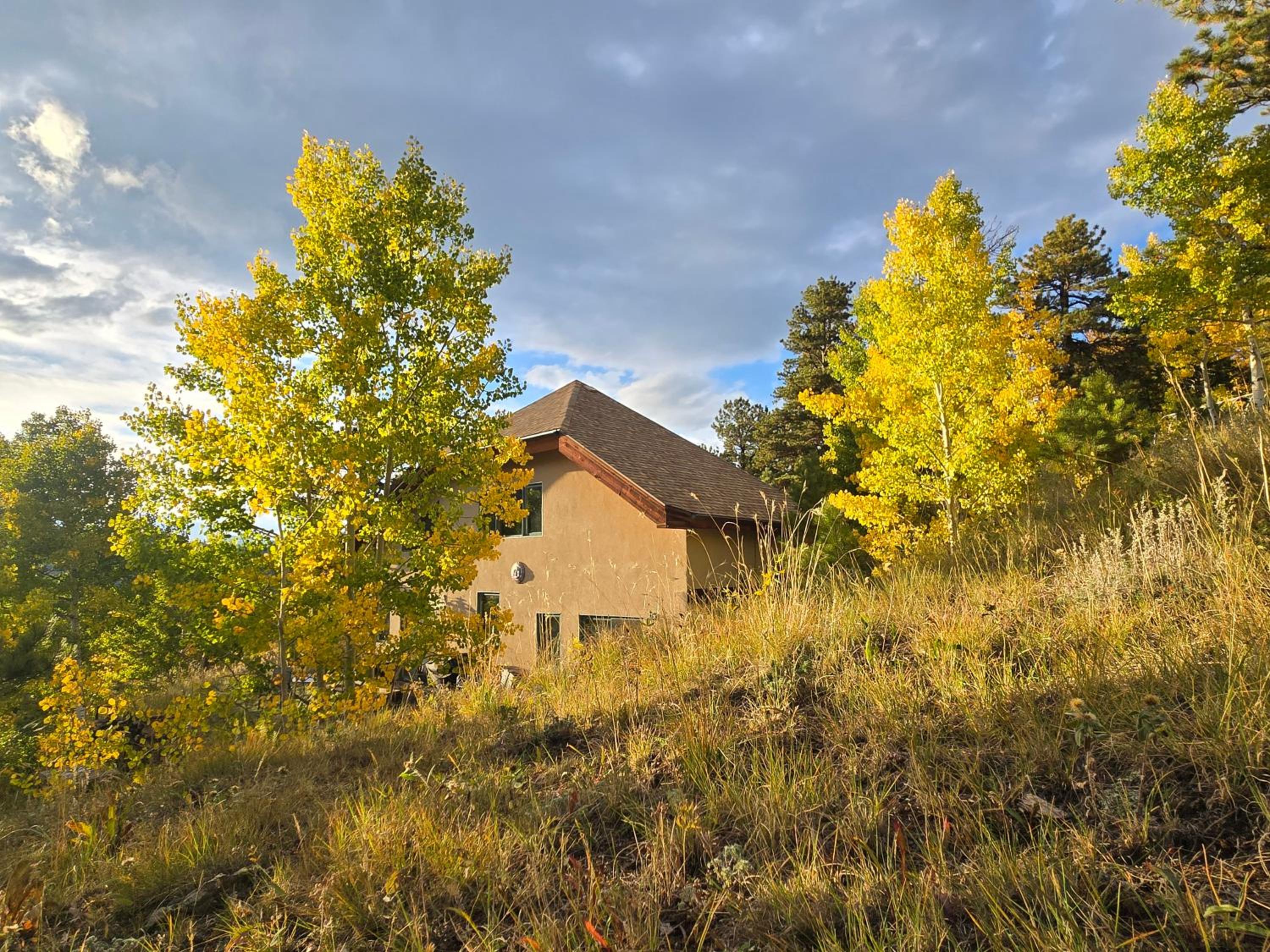 Moose Manor