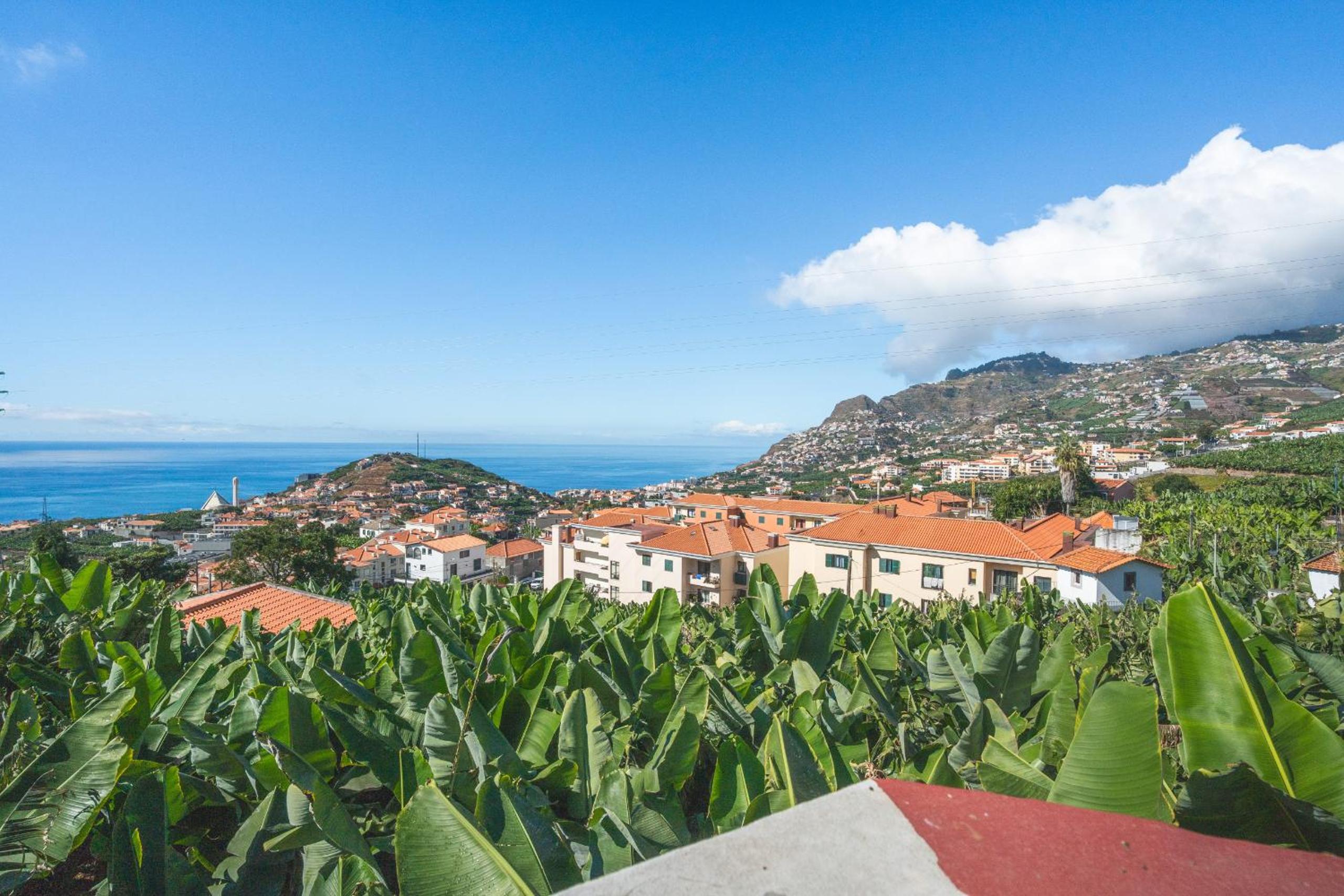 Pitanga by Atlantic Holiday