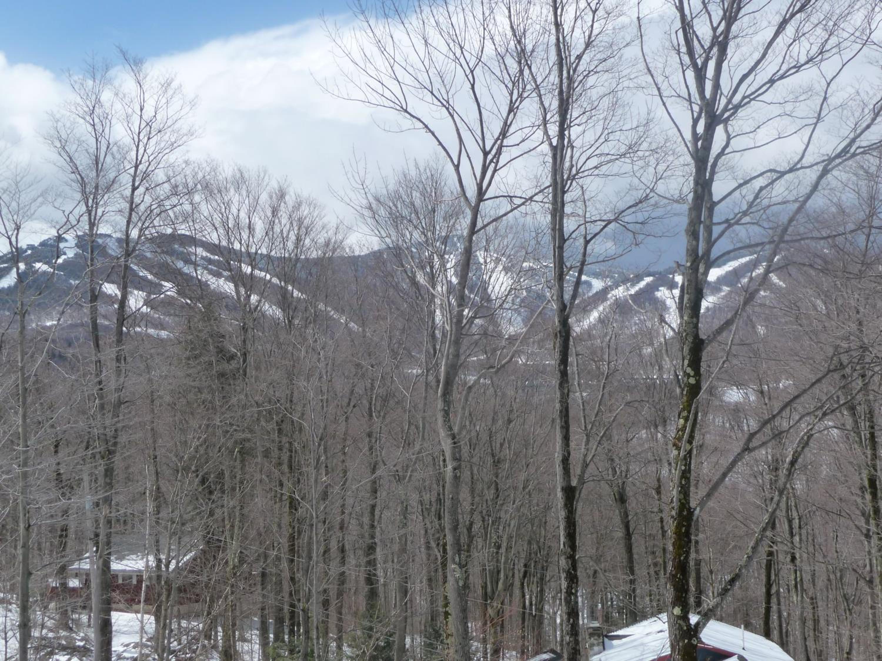 Big Boulder at Killington - Renovated Home with Hot Tub, Sauna, and Views