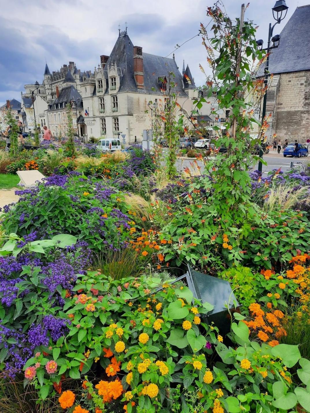 Maison Solognote
