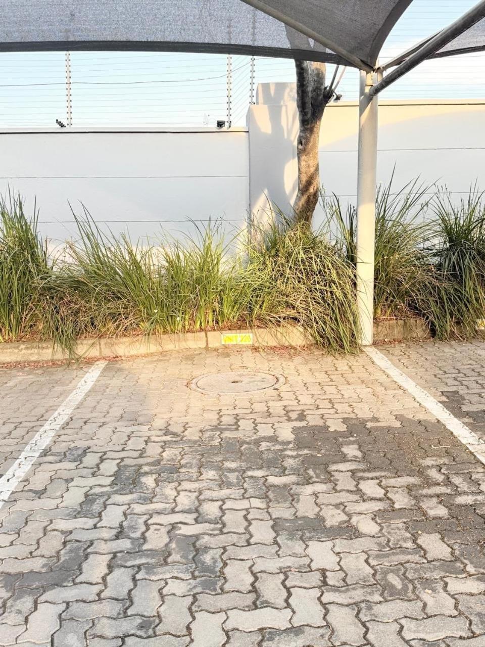 Dream Orchards - Studio apartment