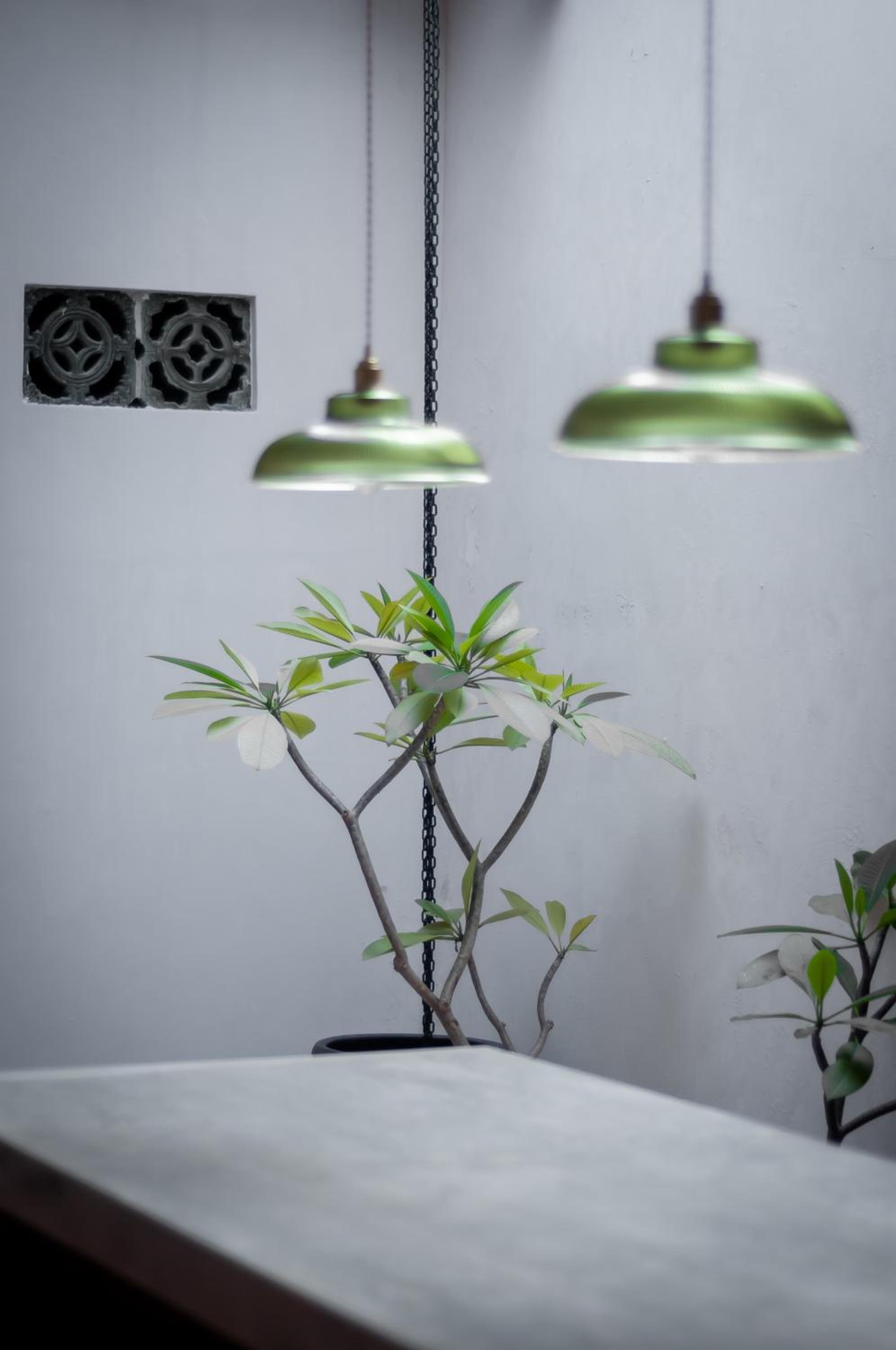 Aayu Heritage - Heritage Home in Stewart Lane