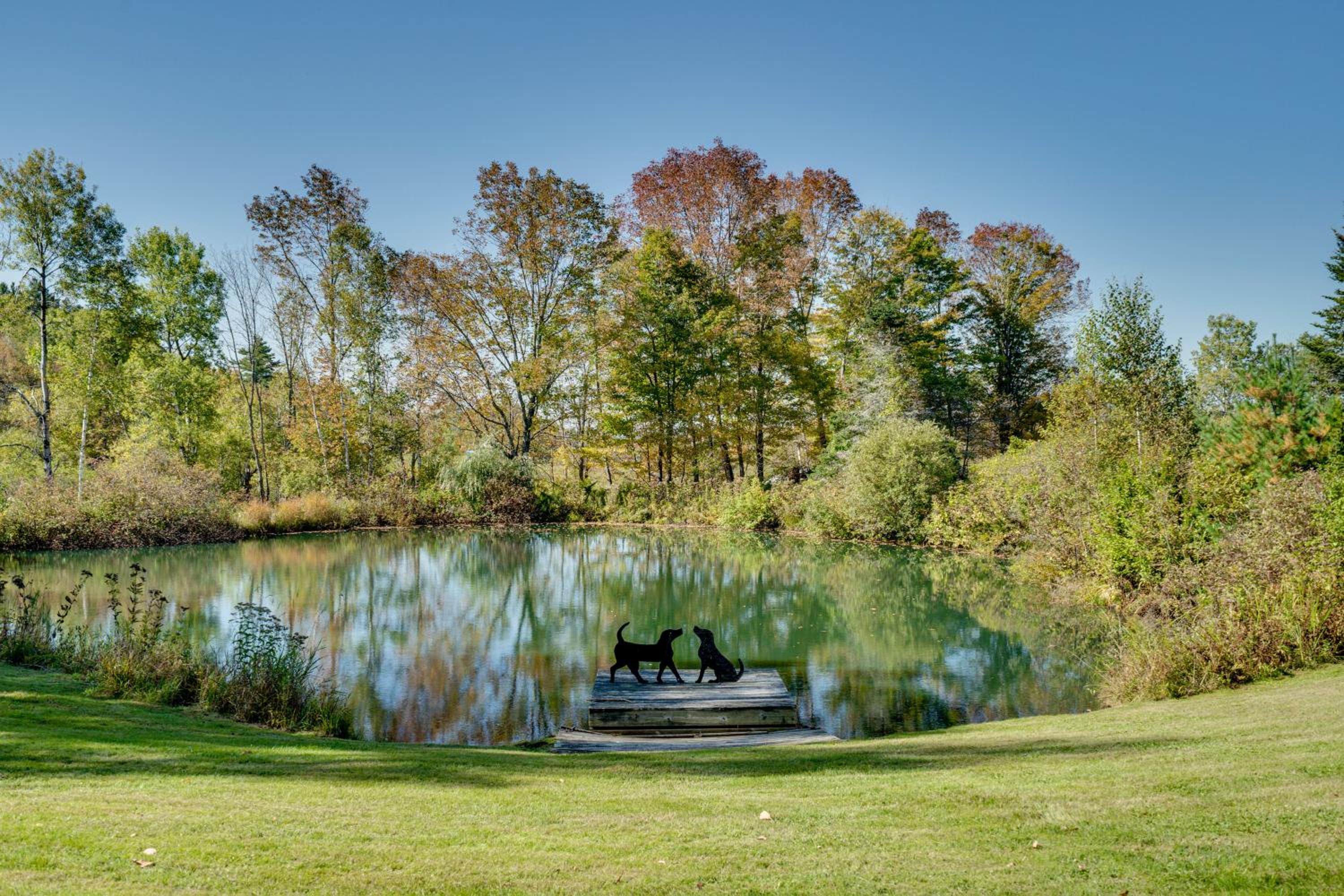 Private Spring-Fed Pond Idyllic Shrewsbury Cabin!