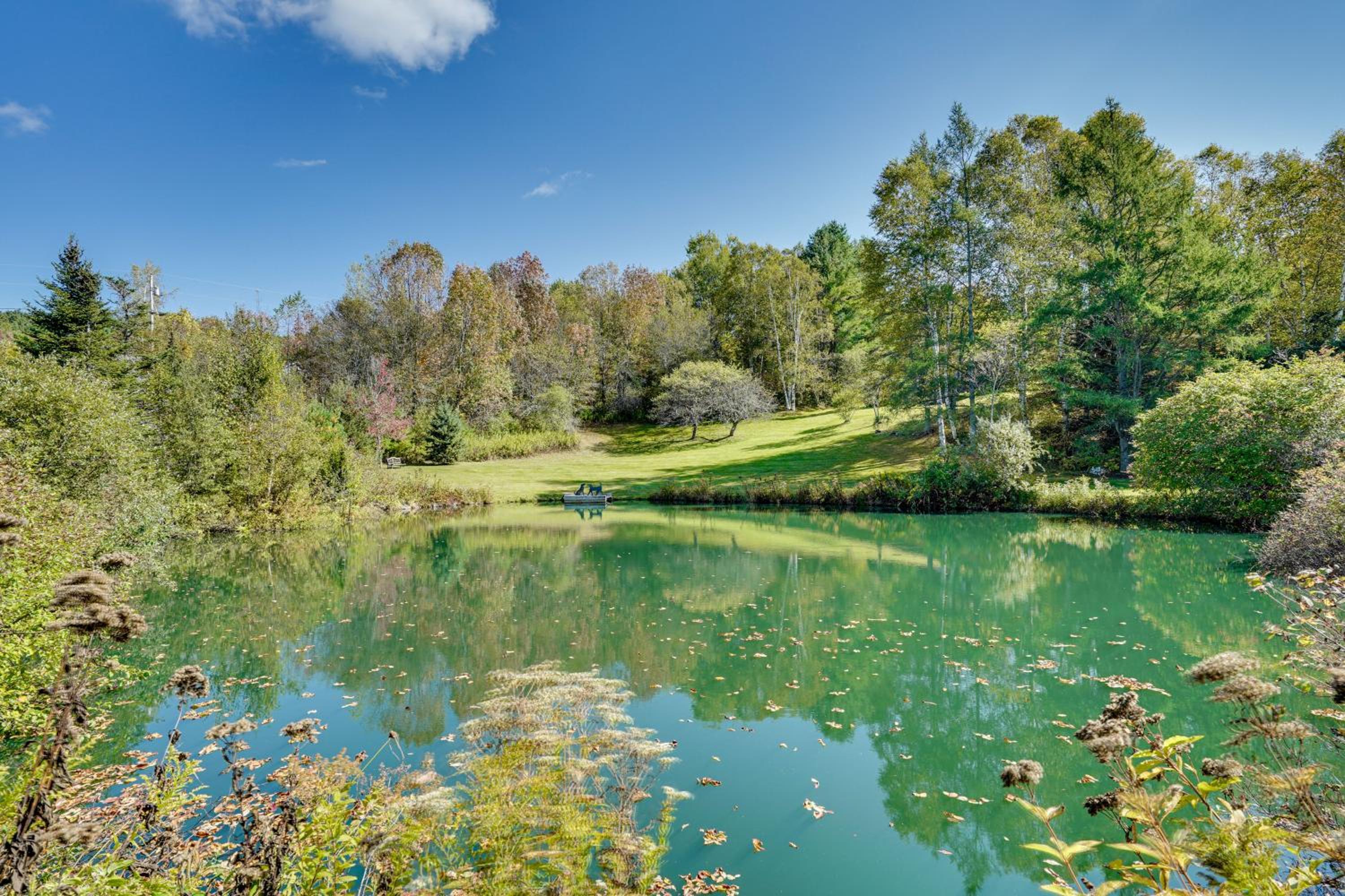 Private Spring-Fed Pond Idyllic Shrewsbury Cabin!