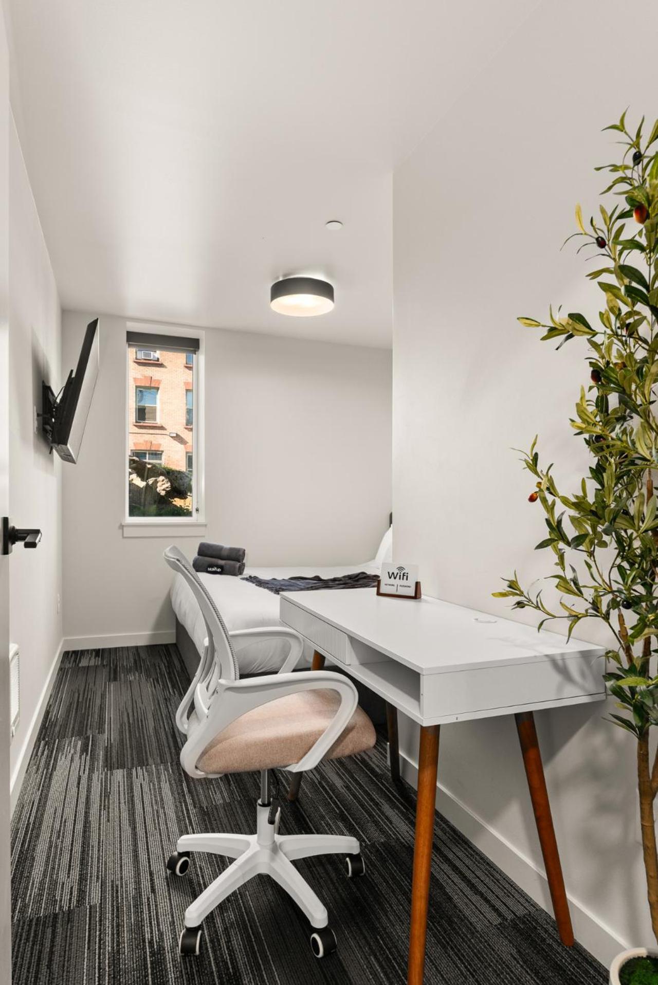 2br Luxurious Apartment Downtown