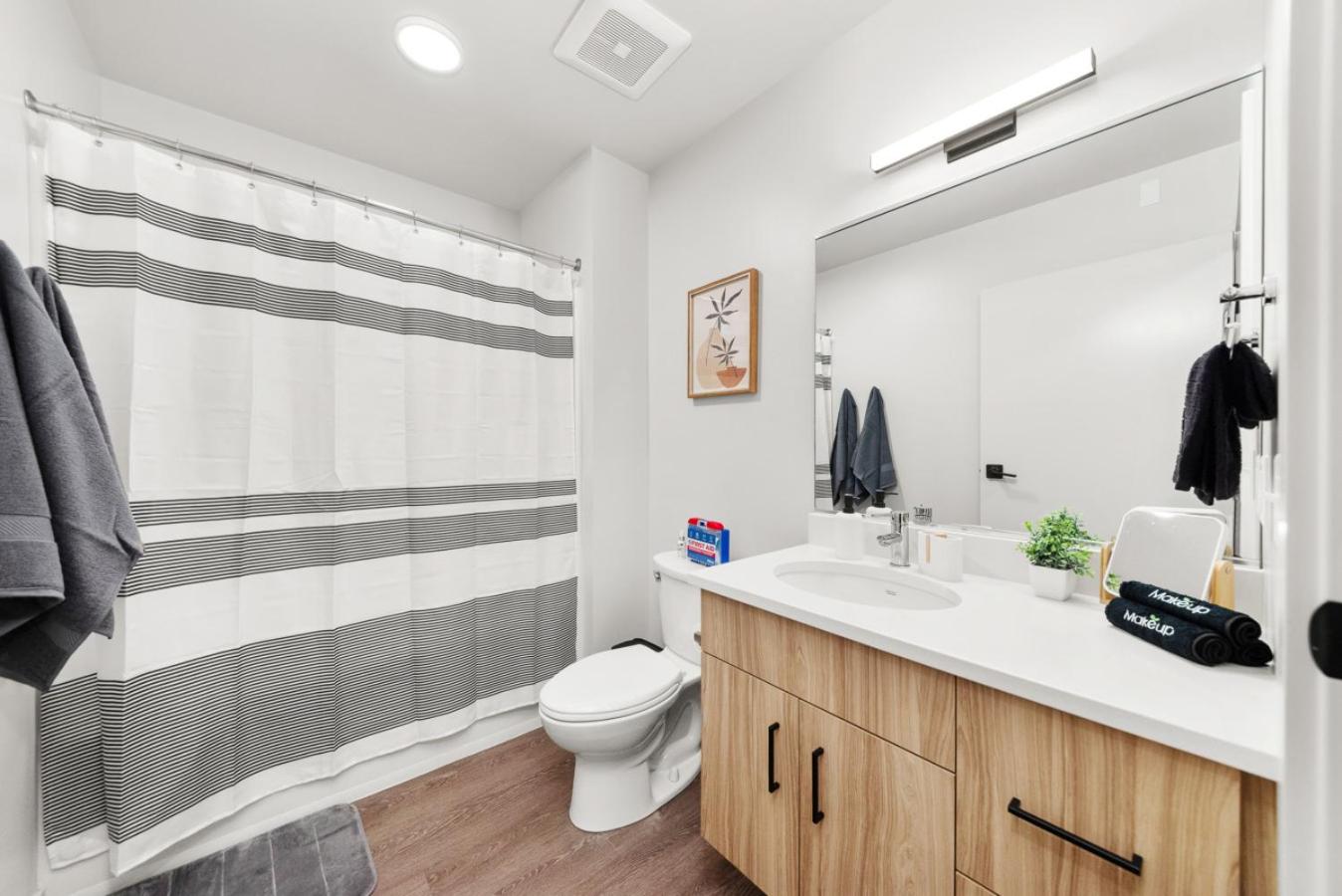 DT 2br 2bath Modern Apartment