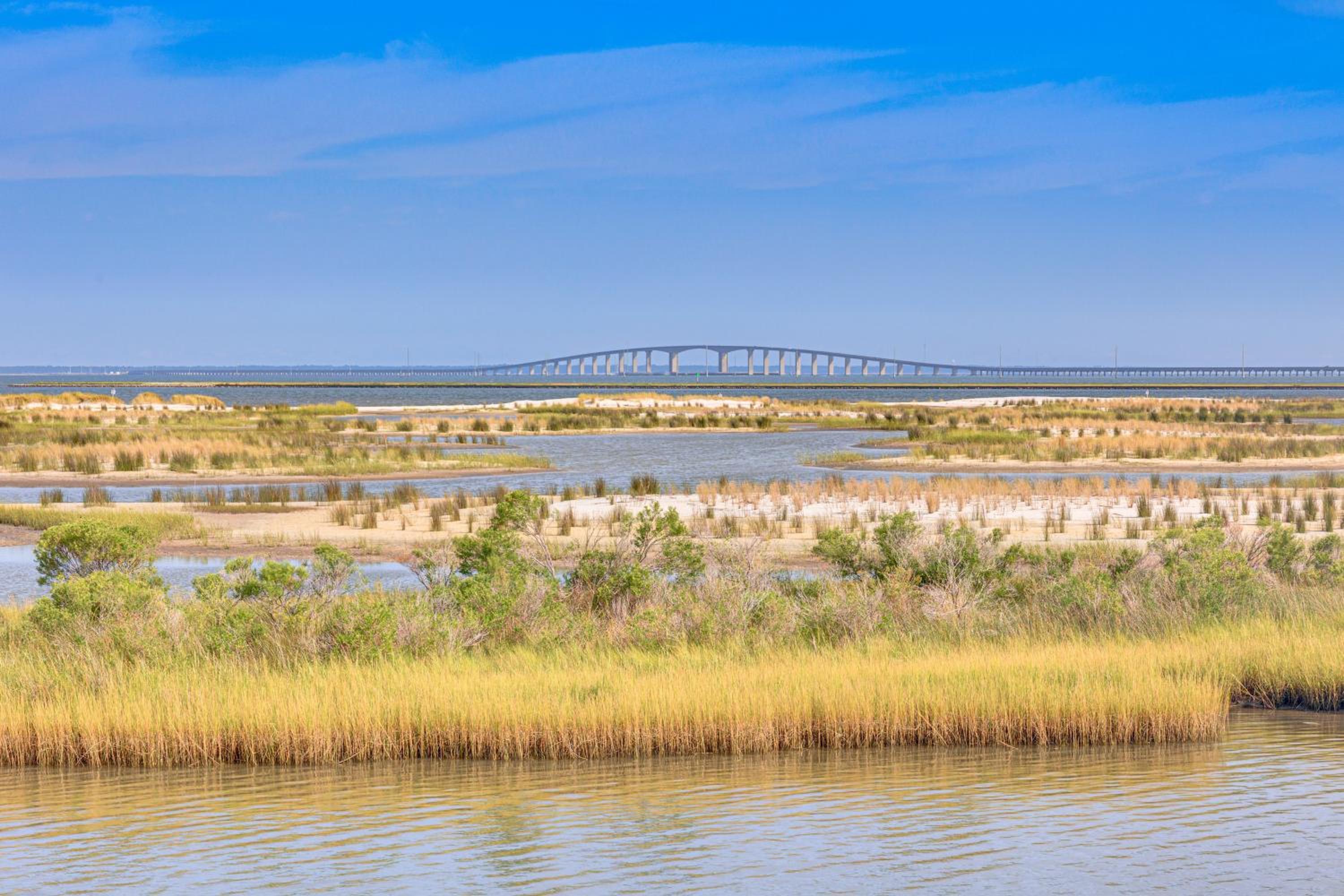 Steps to Gulf Bayside Dauphin Island Home with Dock