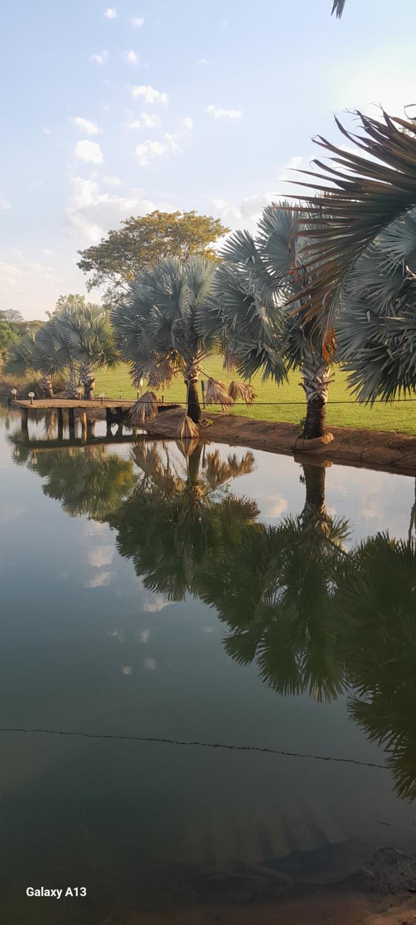 Fazenda Princesinha