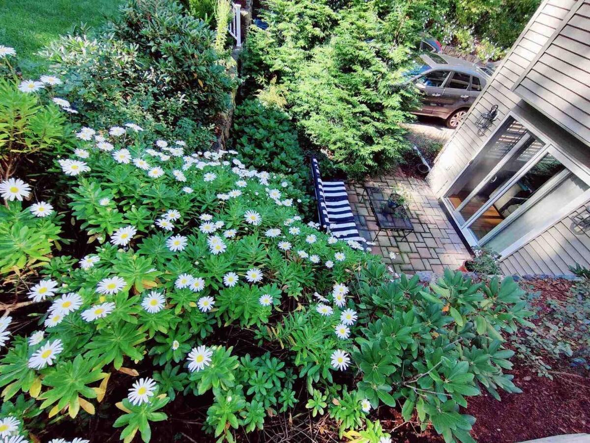 Peaceful 2BR near US Route 1 and Boston