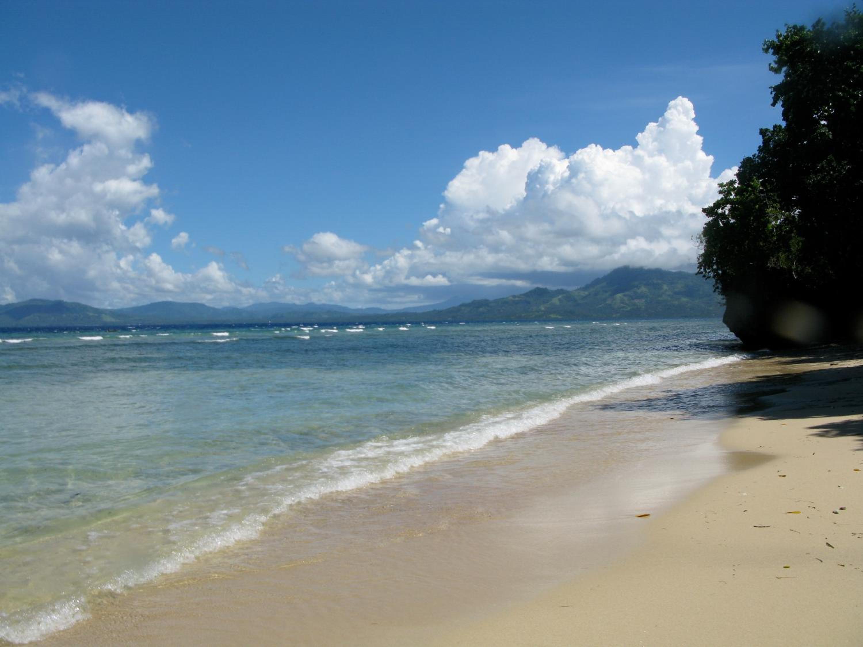 Bunaken Cha Cha Nature Resort view 4