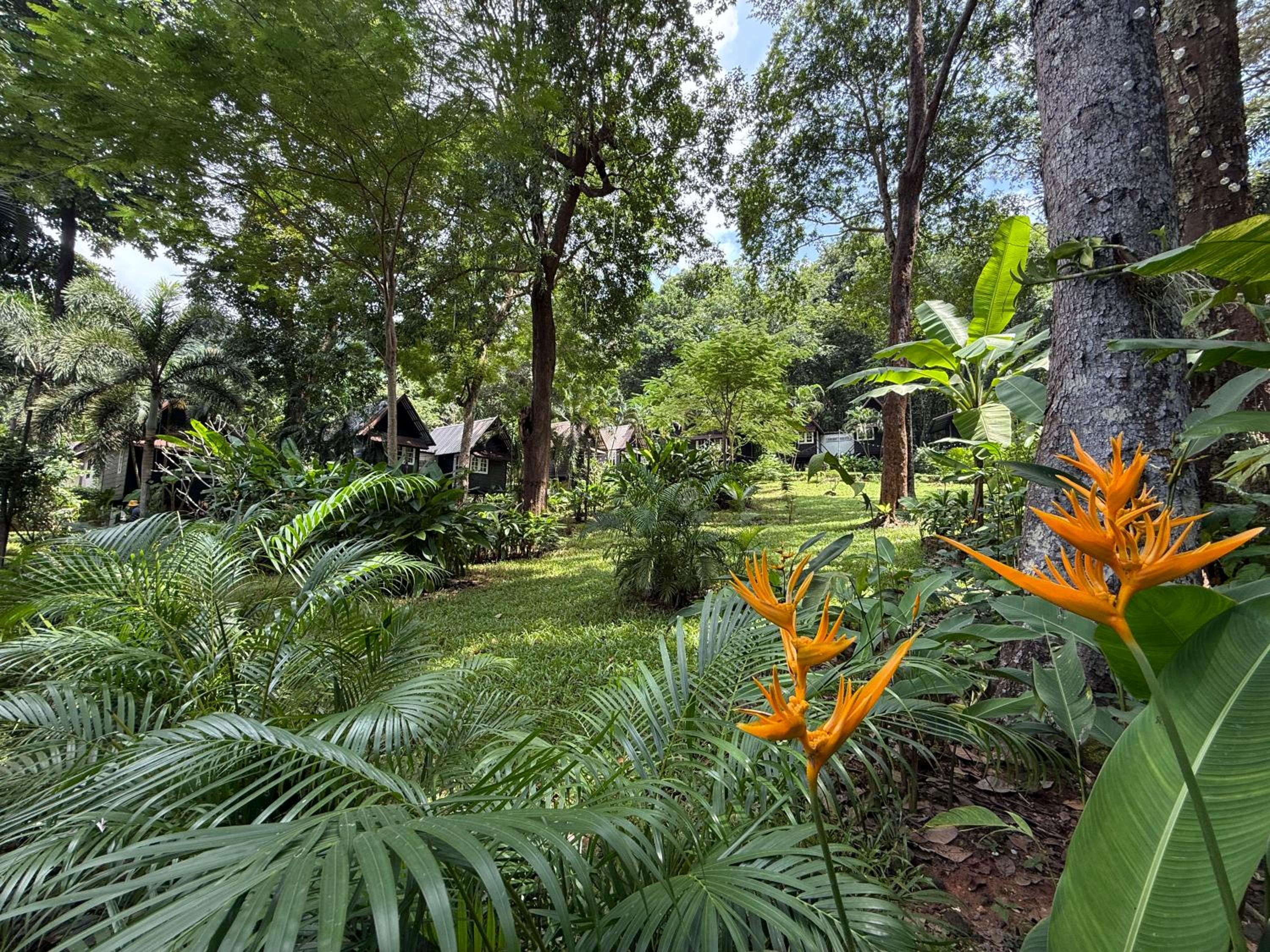 Vanara Resort, Ko Chang - 1