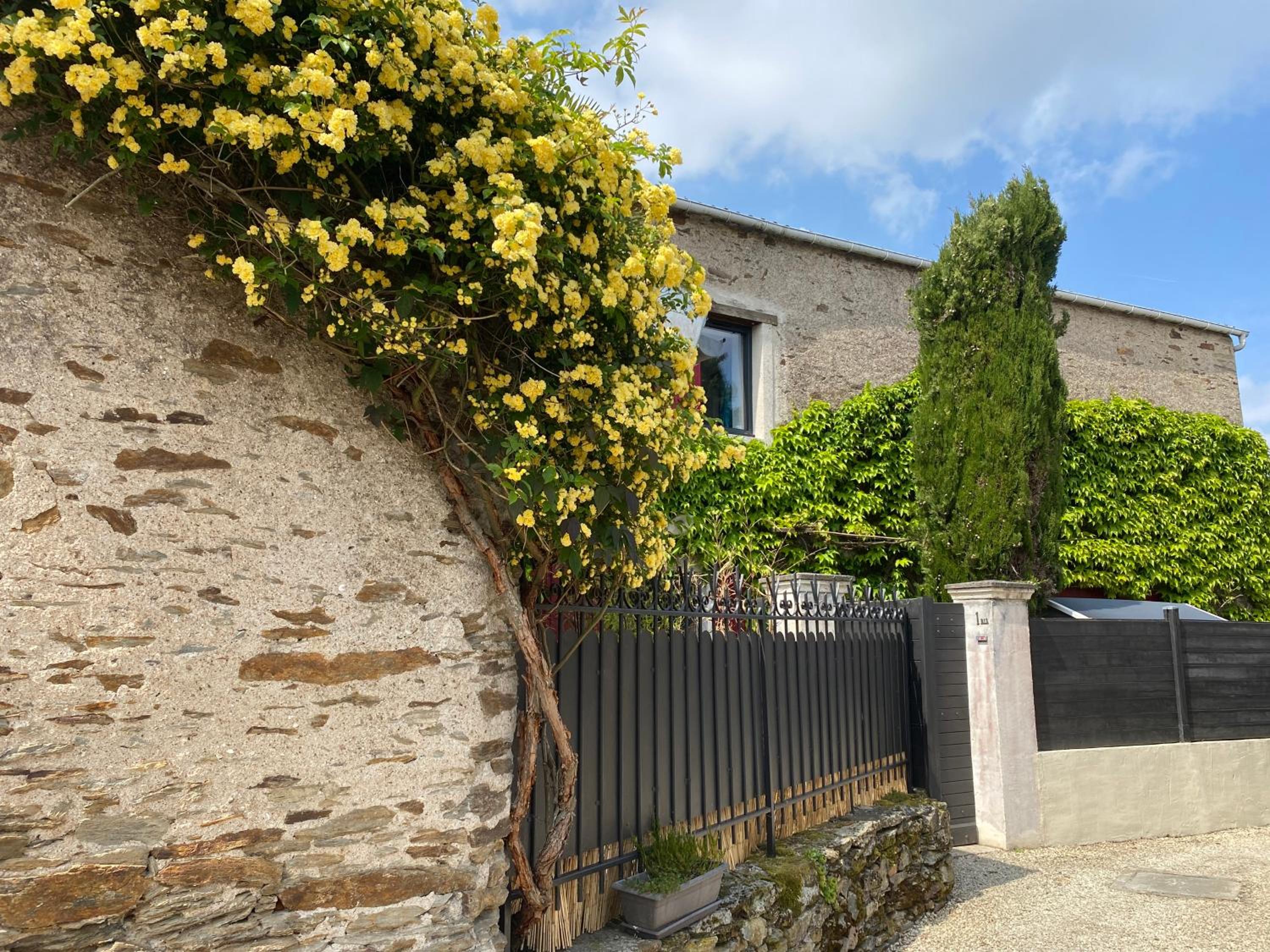 La Mulonniere, photo 6