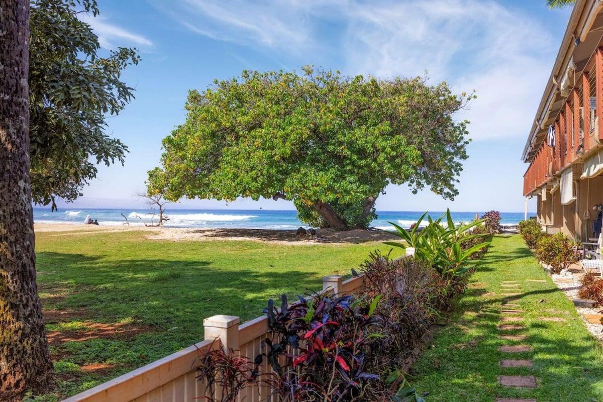 Hale Kai 110 · HKI 110 1BD Condo w Oceanviews and Oceanfront Poo