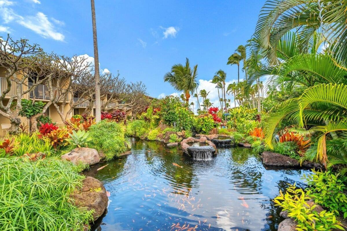 Napili Shores H262 · NS H262 BeachFront Condo Ocean Views Pool H