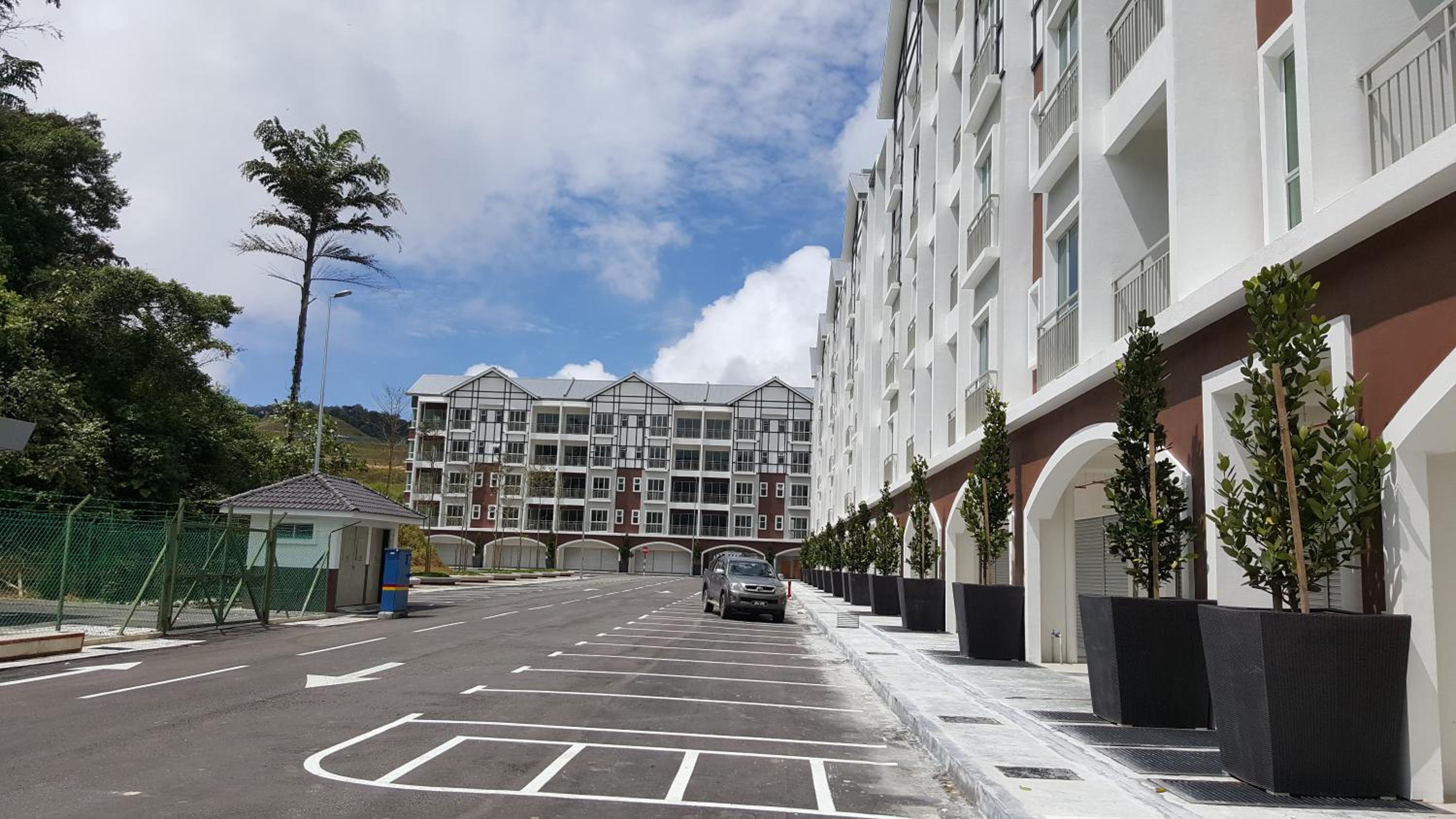 Cameron Forest Home - Golden Hills photo 3