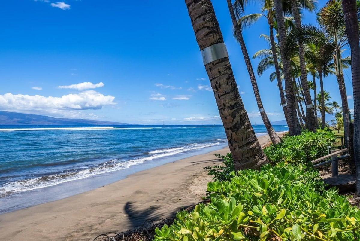 Lahaina Shores 523 · LS 523 Direct Beachfront Studio with Stunni