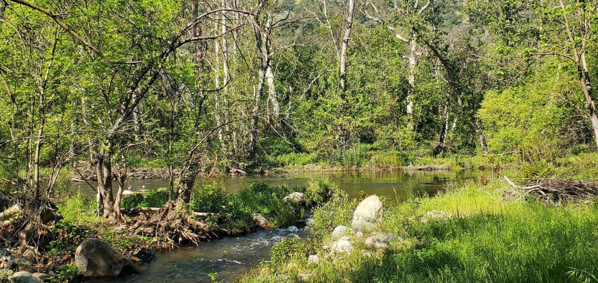 Sequoia Vintage A-frame River Retreat