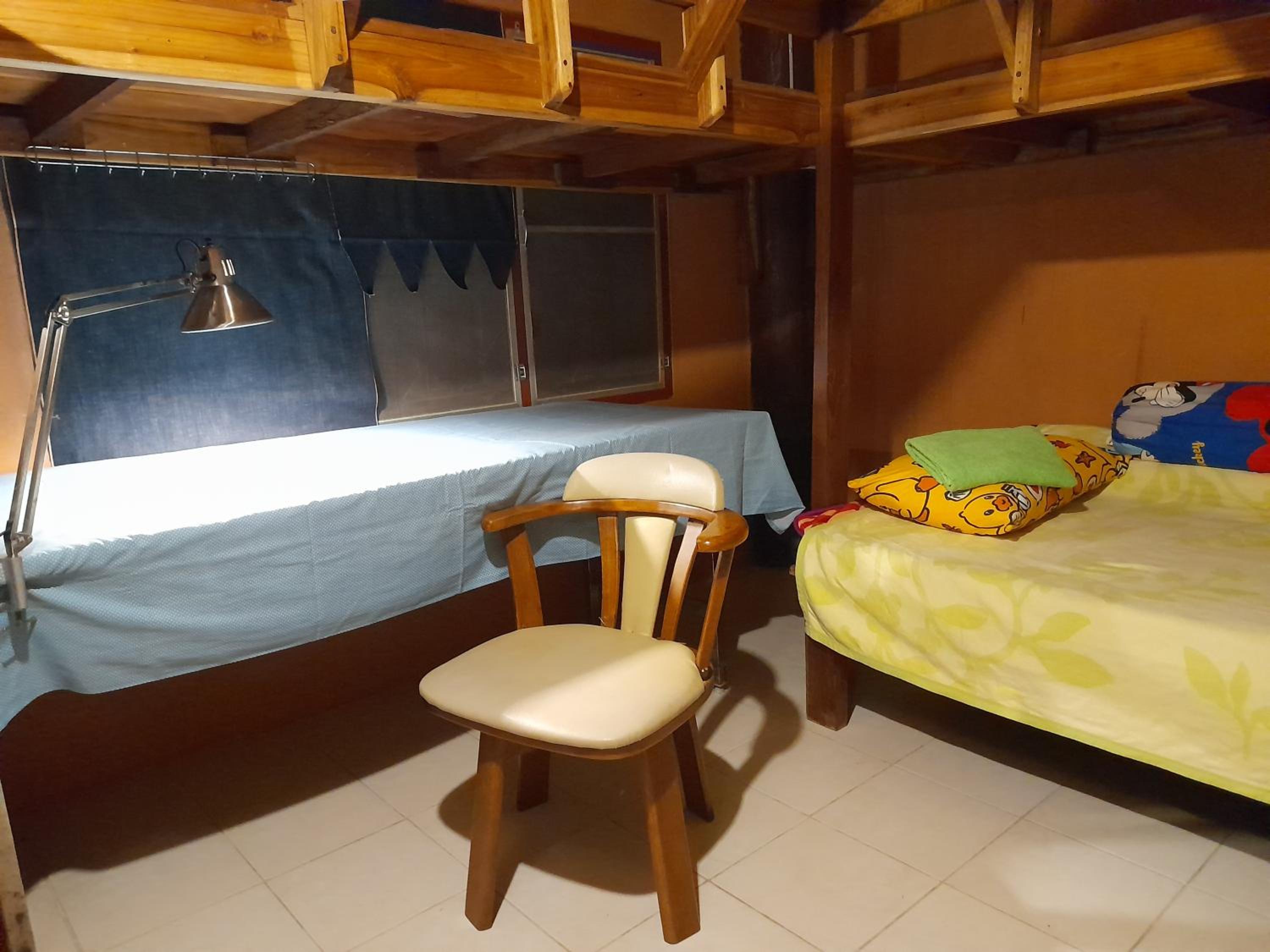 Cactus Hostel !for non smokers!, photo 28