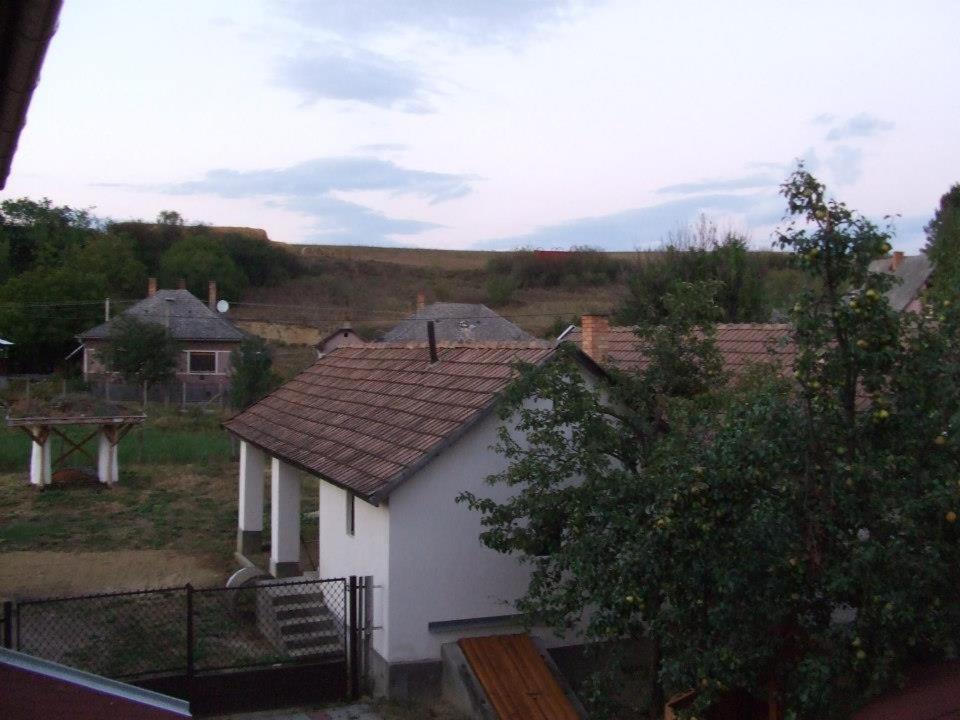 Photo 19
