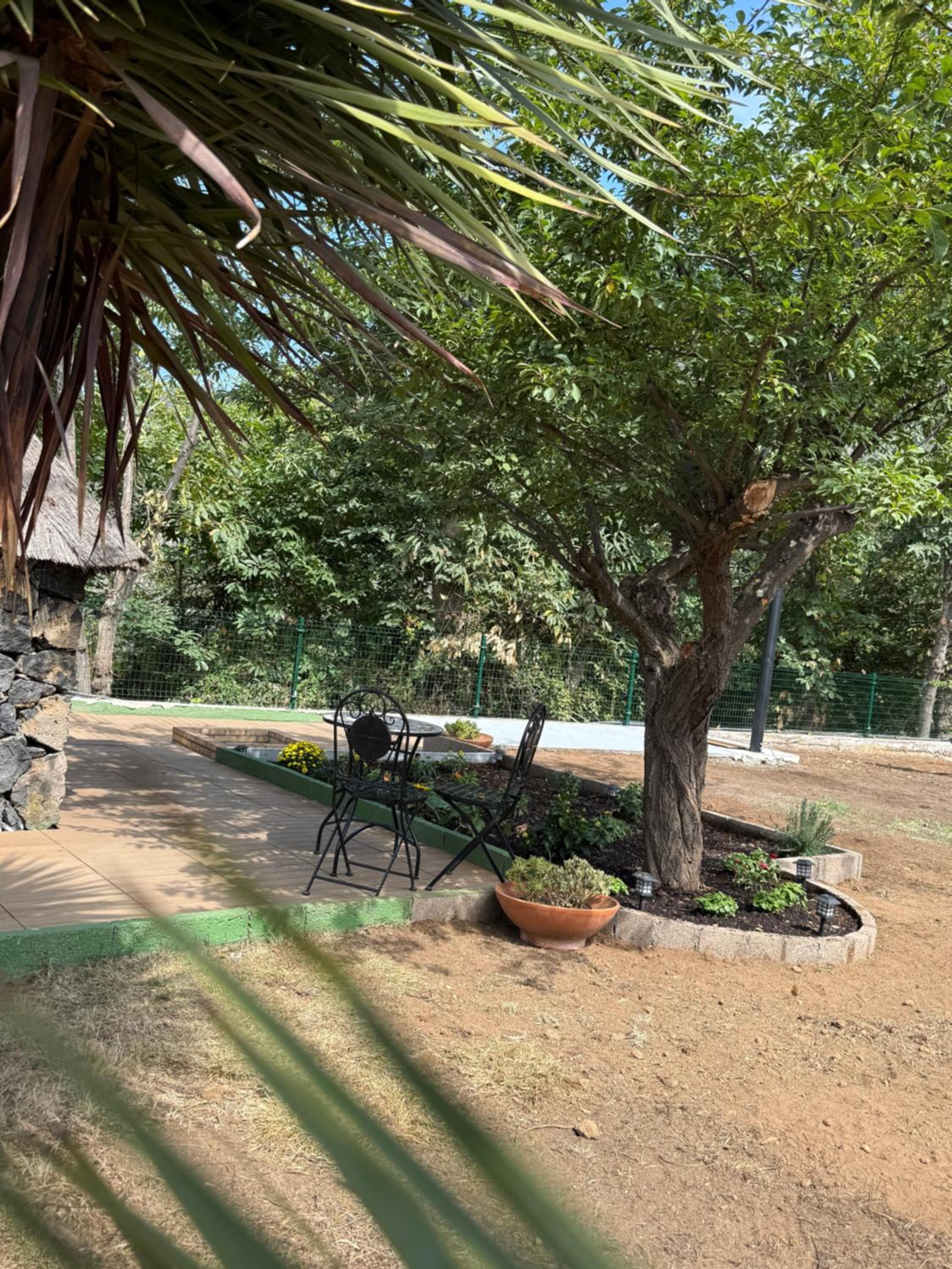 Finca de la Montaña - Cabaña
