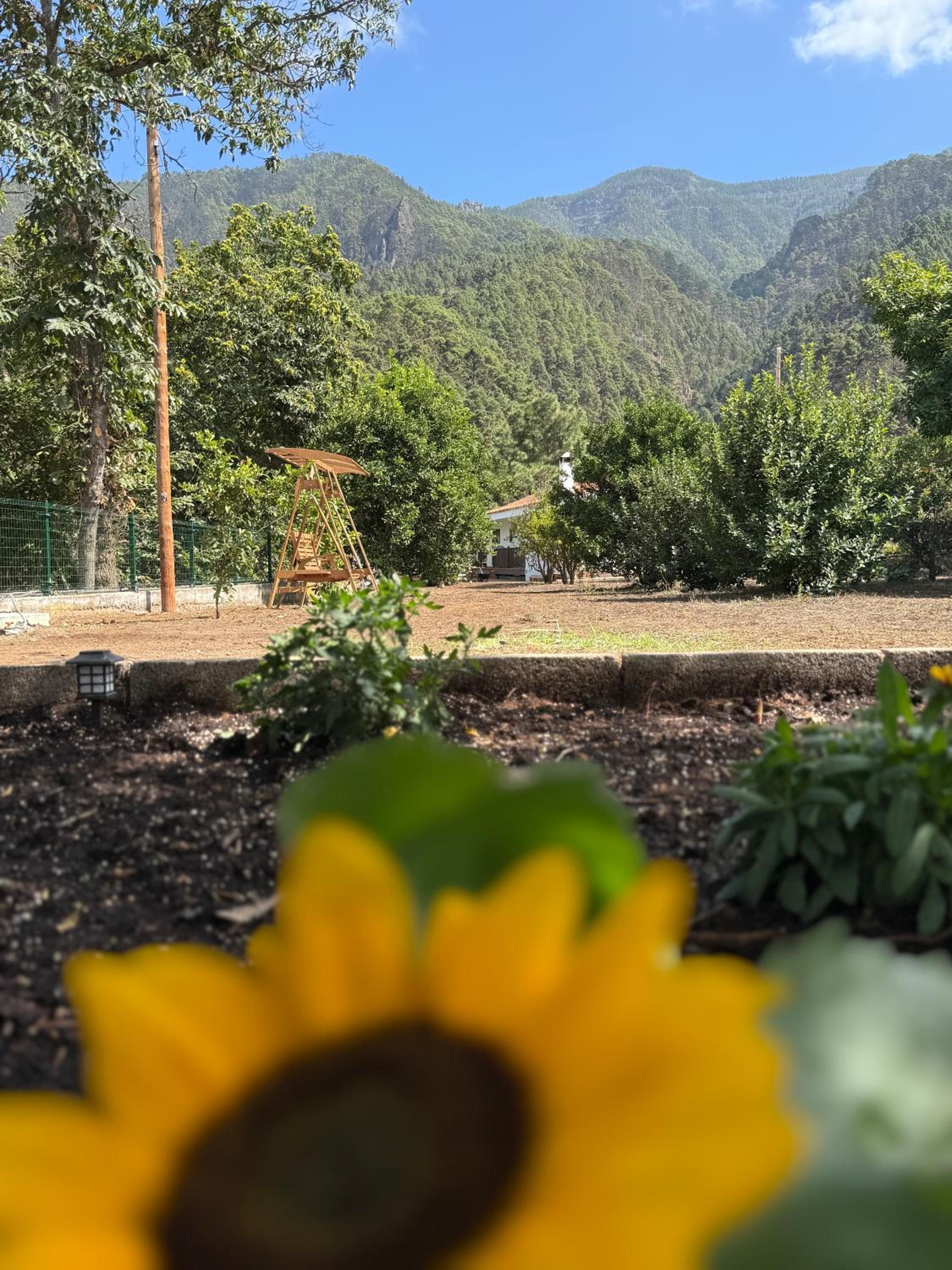 Finca de la Montaña - Cabaña