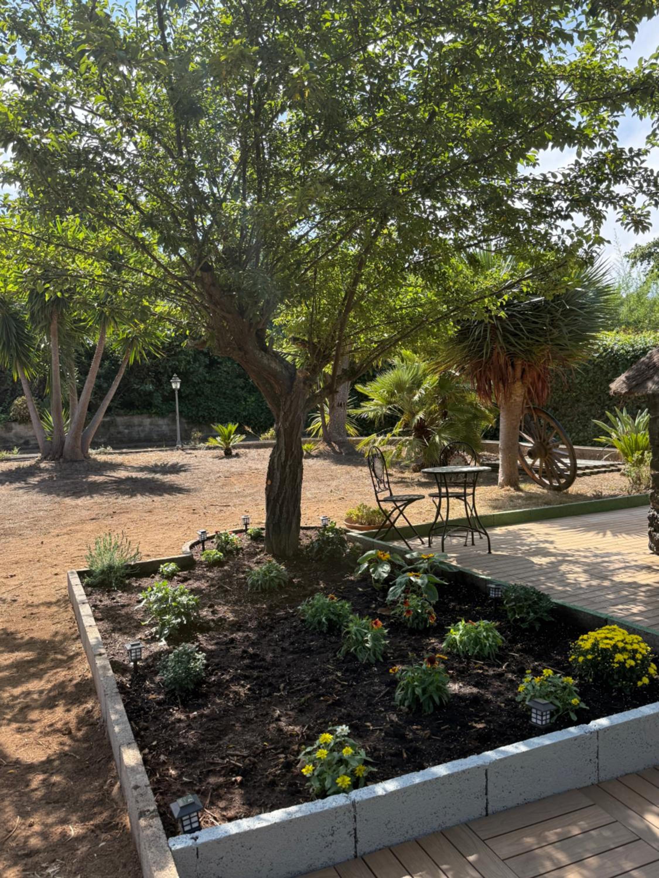 Finca de la Montaña - Cabaña