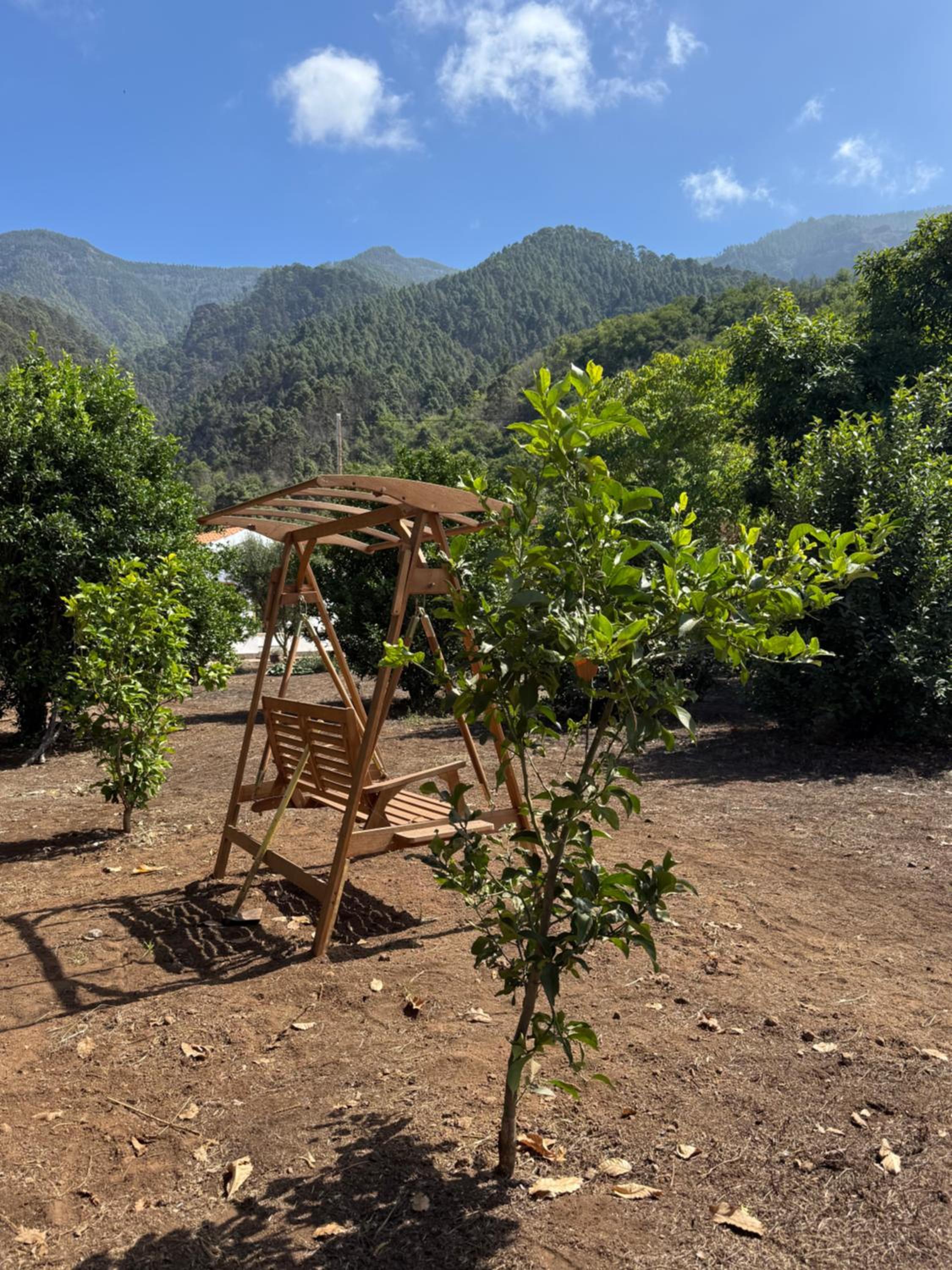 Finca de la Montaña - Cabaña