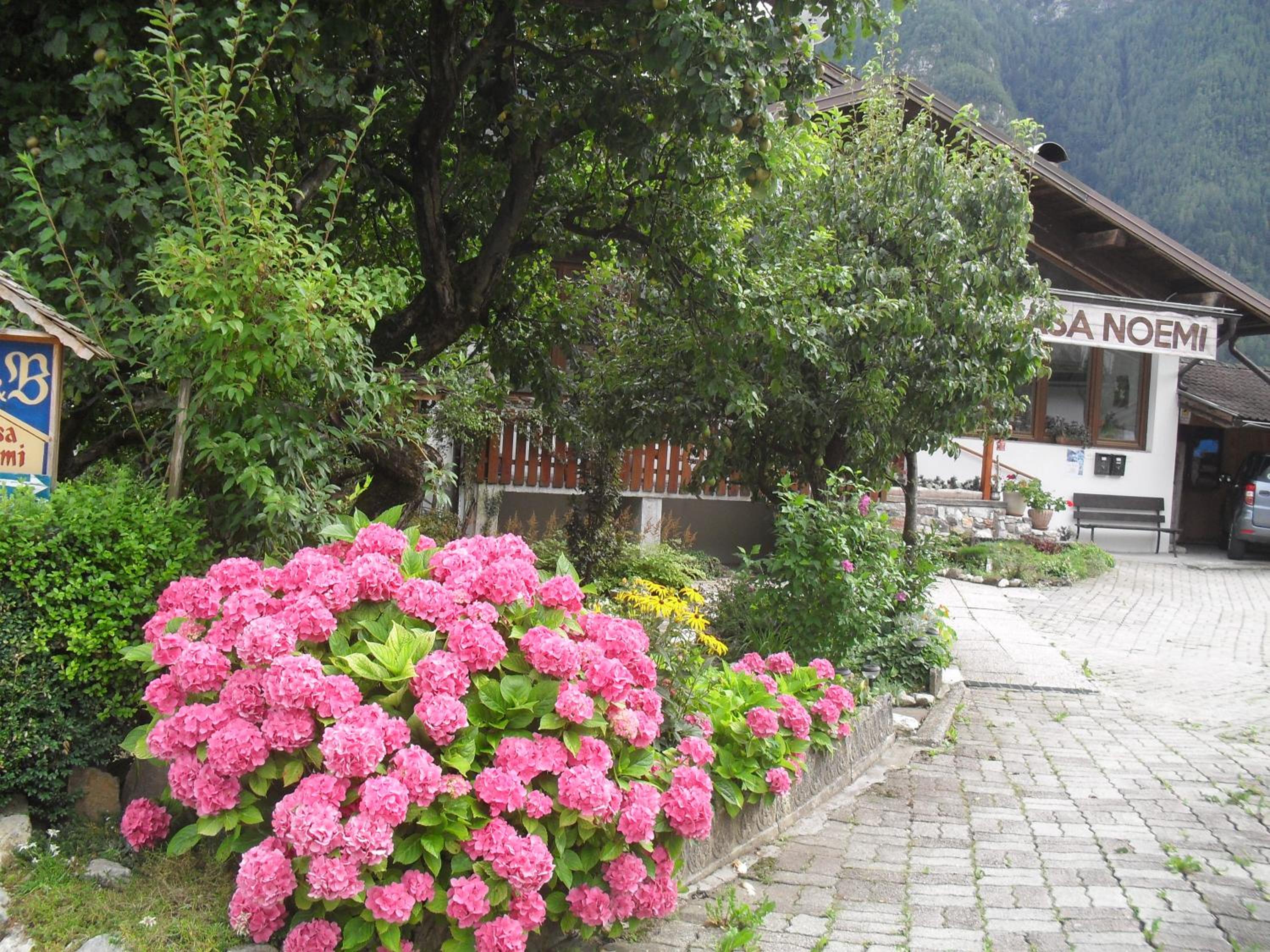 Photo 26